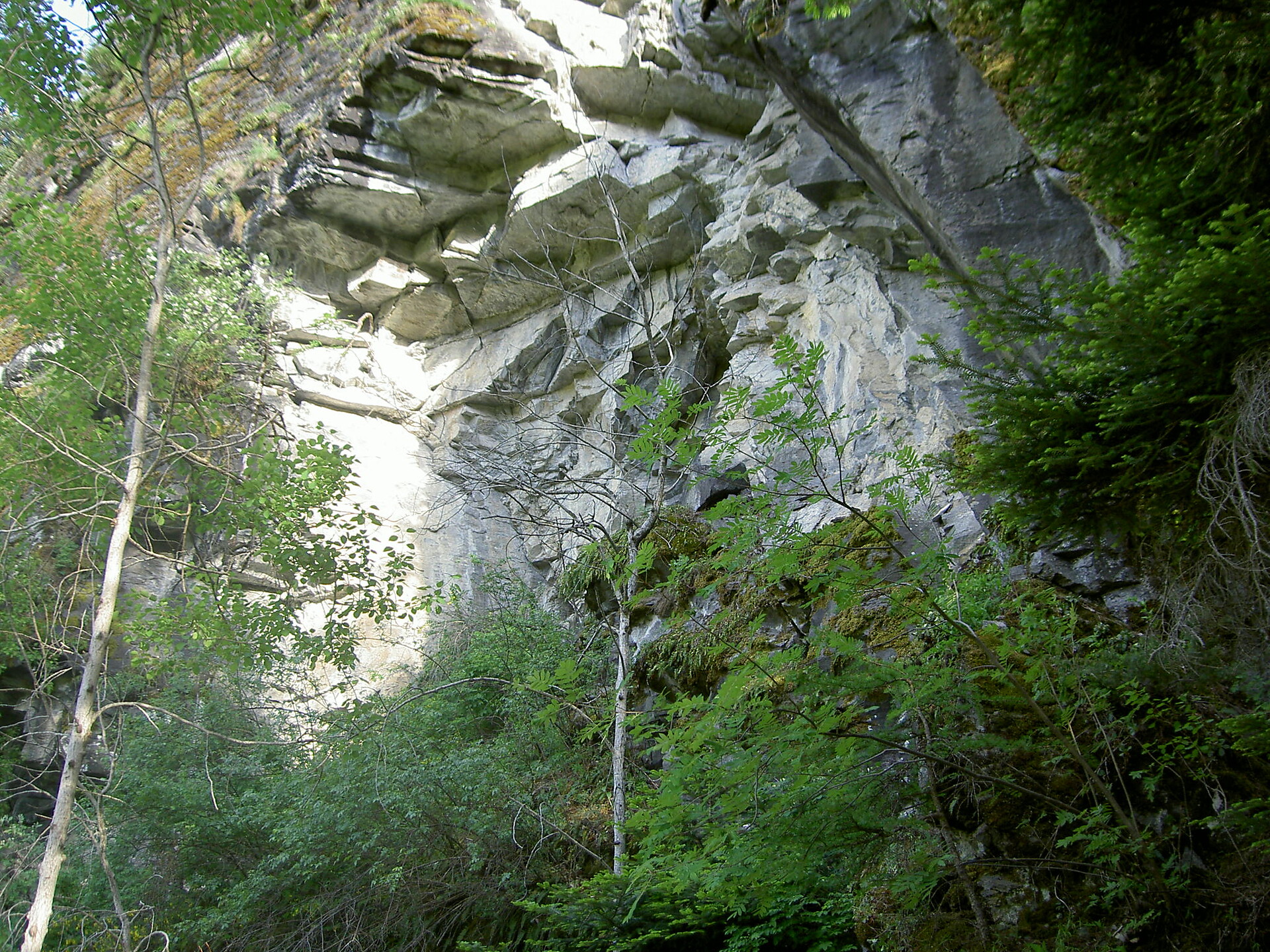 Hiking path