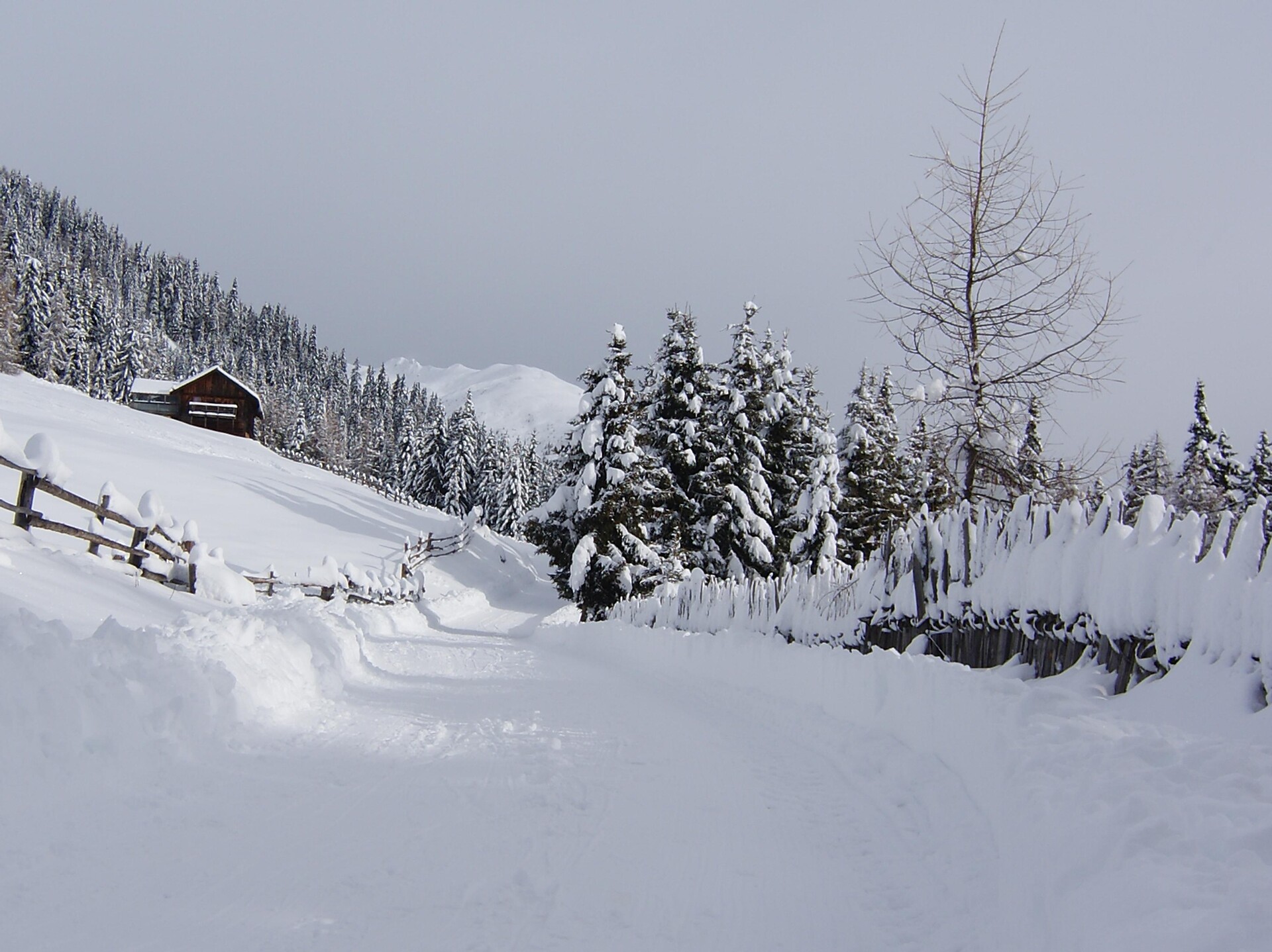 pista per slittini malga Pertinger