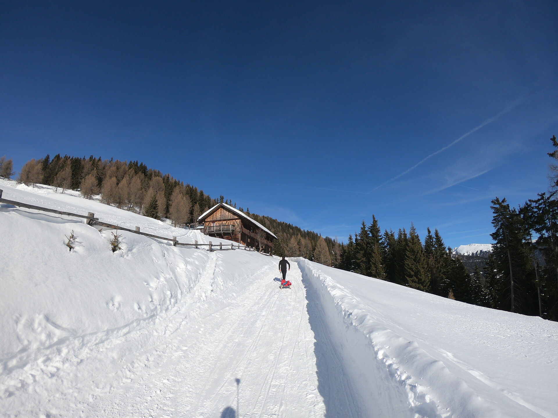 Pertinger Alm