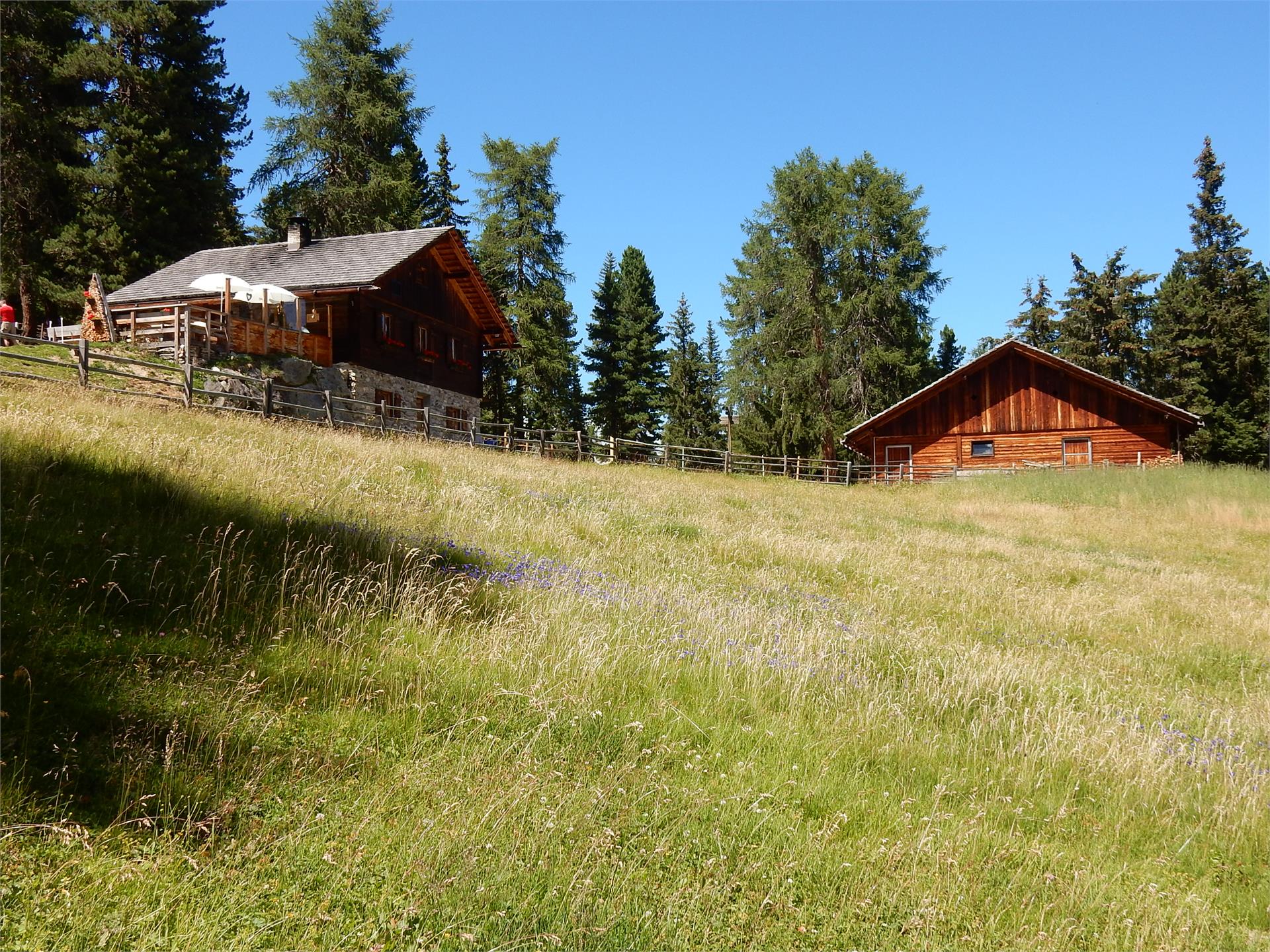 Glittner Lake and Maurerberg circular trail Al Plan/San Vigilio 2 suedtirol.info
