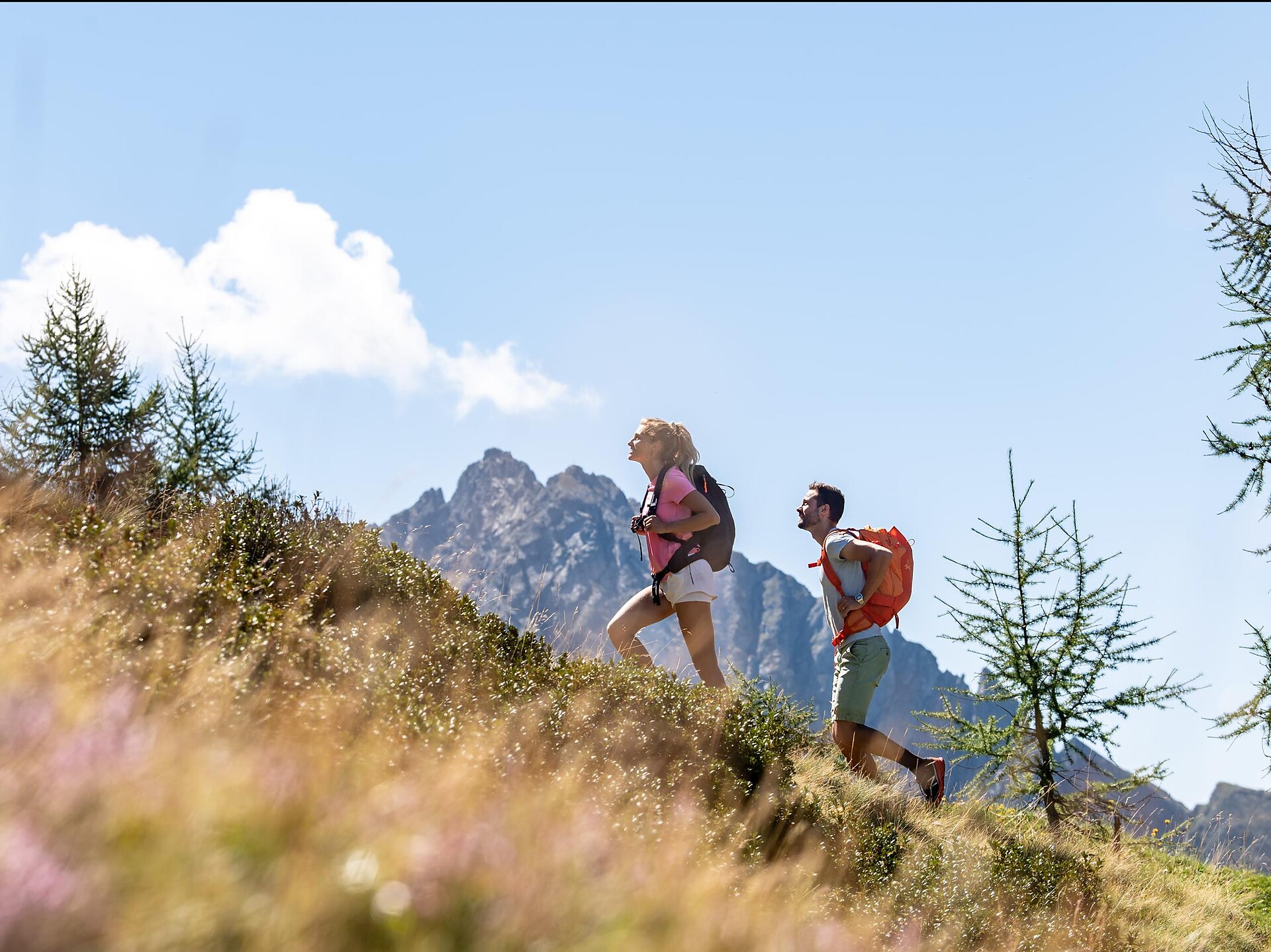 Rundwanderung von Oberkirn zur Stafell Alm