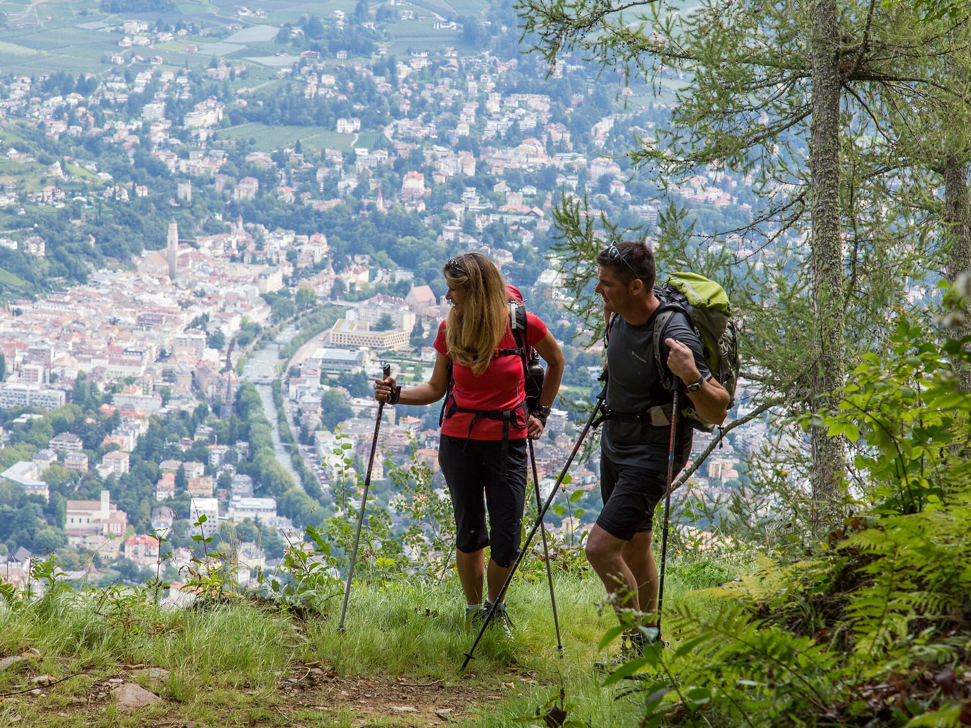 Percorso ad anello sul monte di Marlengo Marlengo 1 suedtirol.info