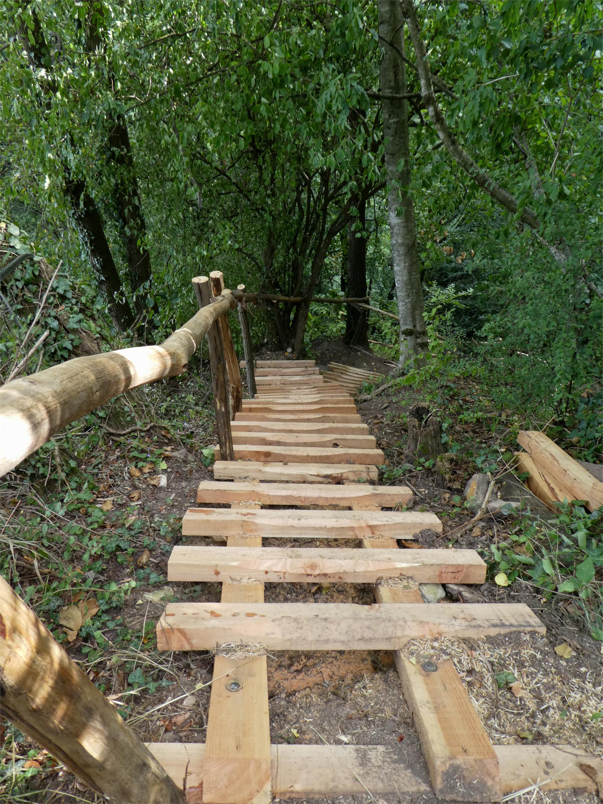 Circular hike: Andrian - Festenstein Castle - Gaid - variant path Larchsteigndrian Andrian/Andriano 11 suedtirol.info