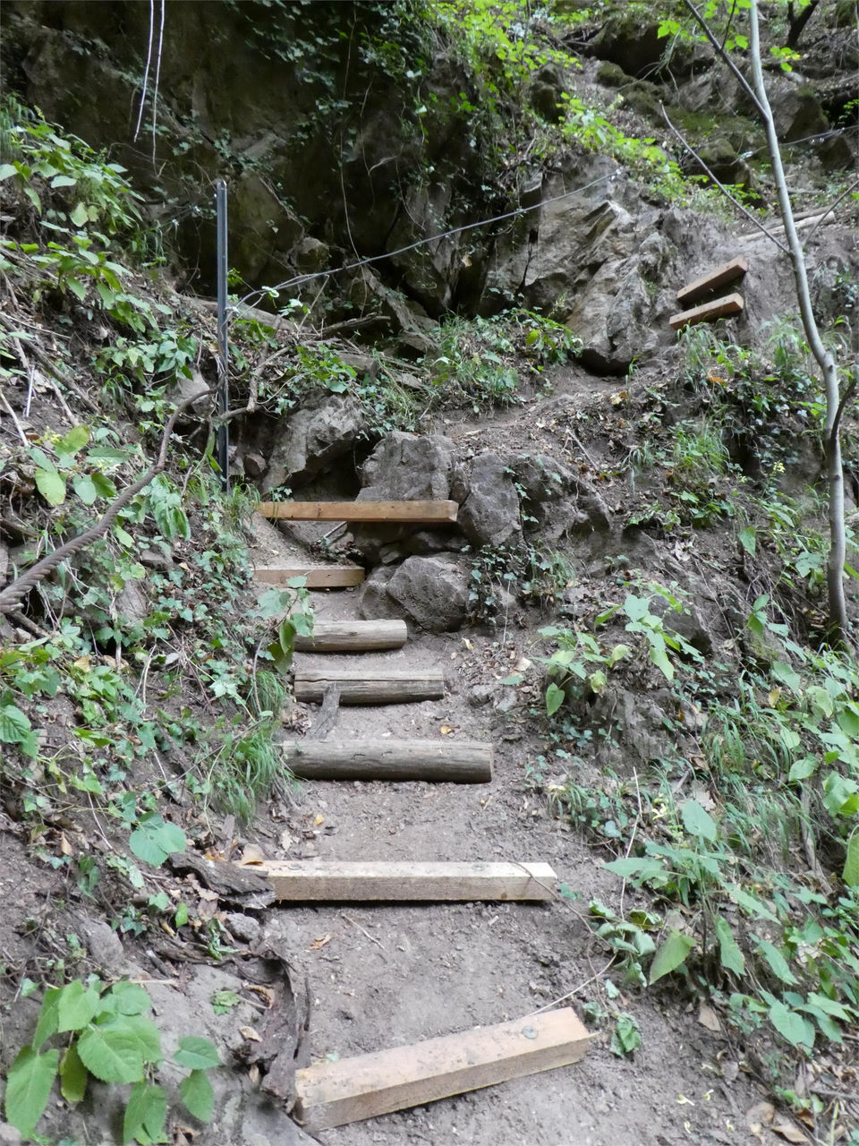 Slide 8