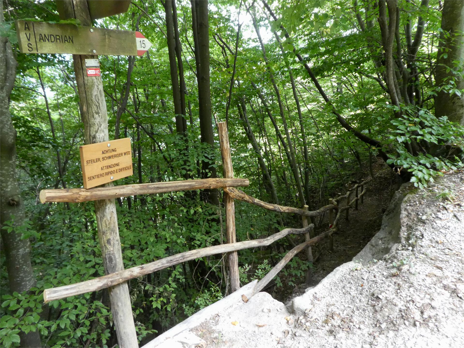 Circular hike: Andrian - Festenstein Castle - Gaid - variant path Larchsteigndrian Andrian/Andriano 12 suedtirol.info
