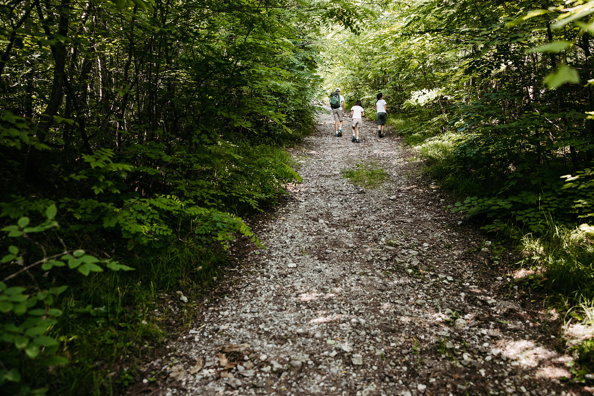 Circular hike: Andrian - Festenstein Castle - Gaid - variant path Larchsteigndrian - Alto Adige Wine Road - #3 - suedtirol.info
