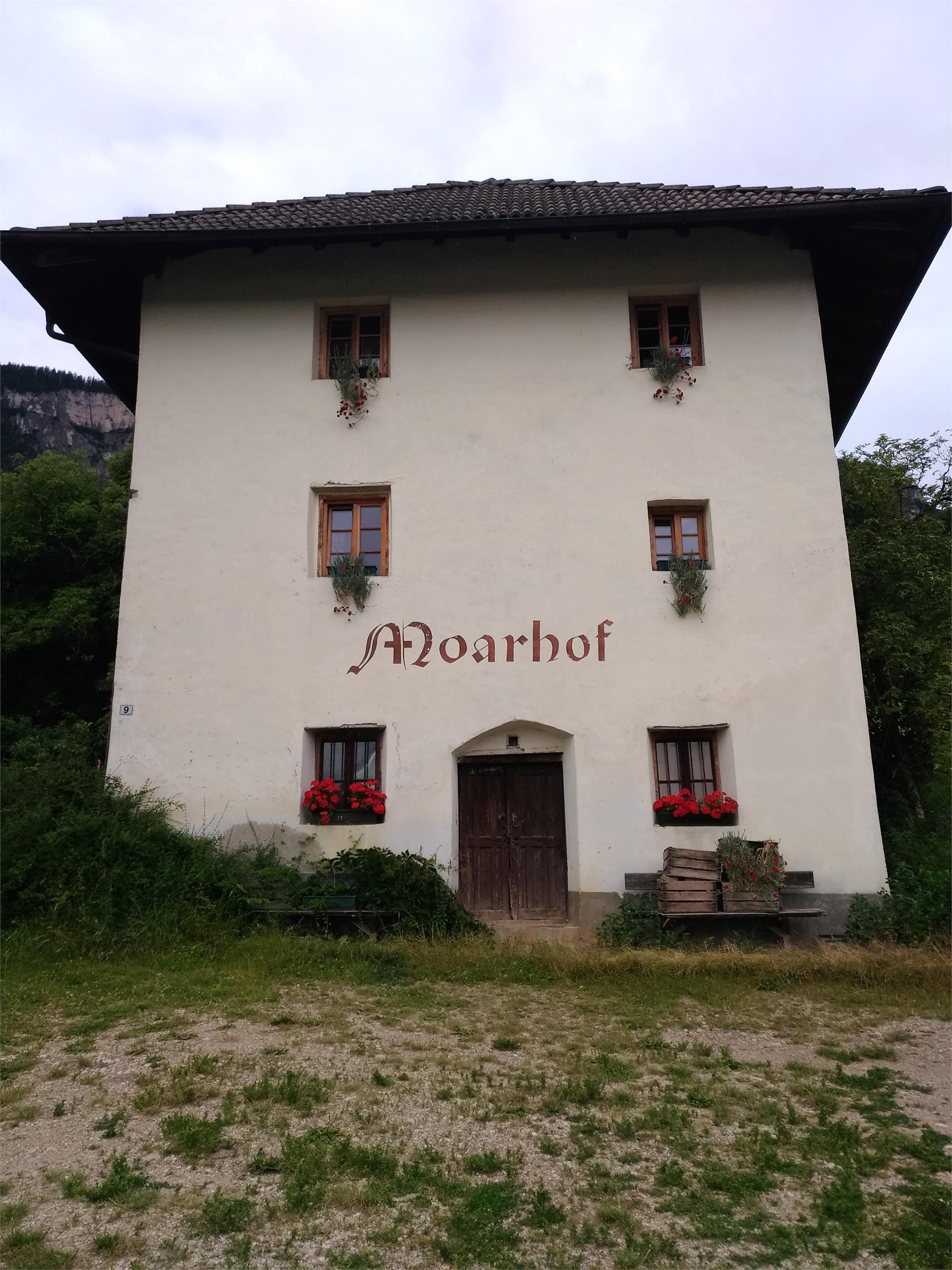 Circular hike: Andrian - Festenstein Castle - Gaid - variant path Larchsteigndrian Andrian/Andriano 14 suedtirol.info