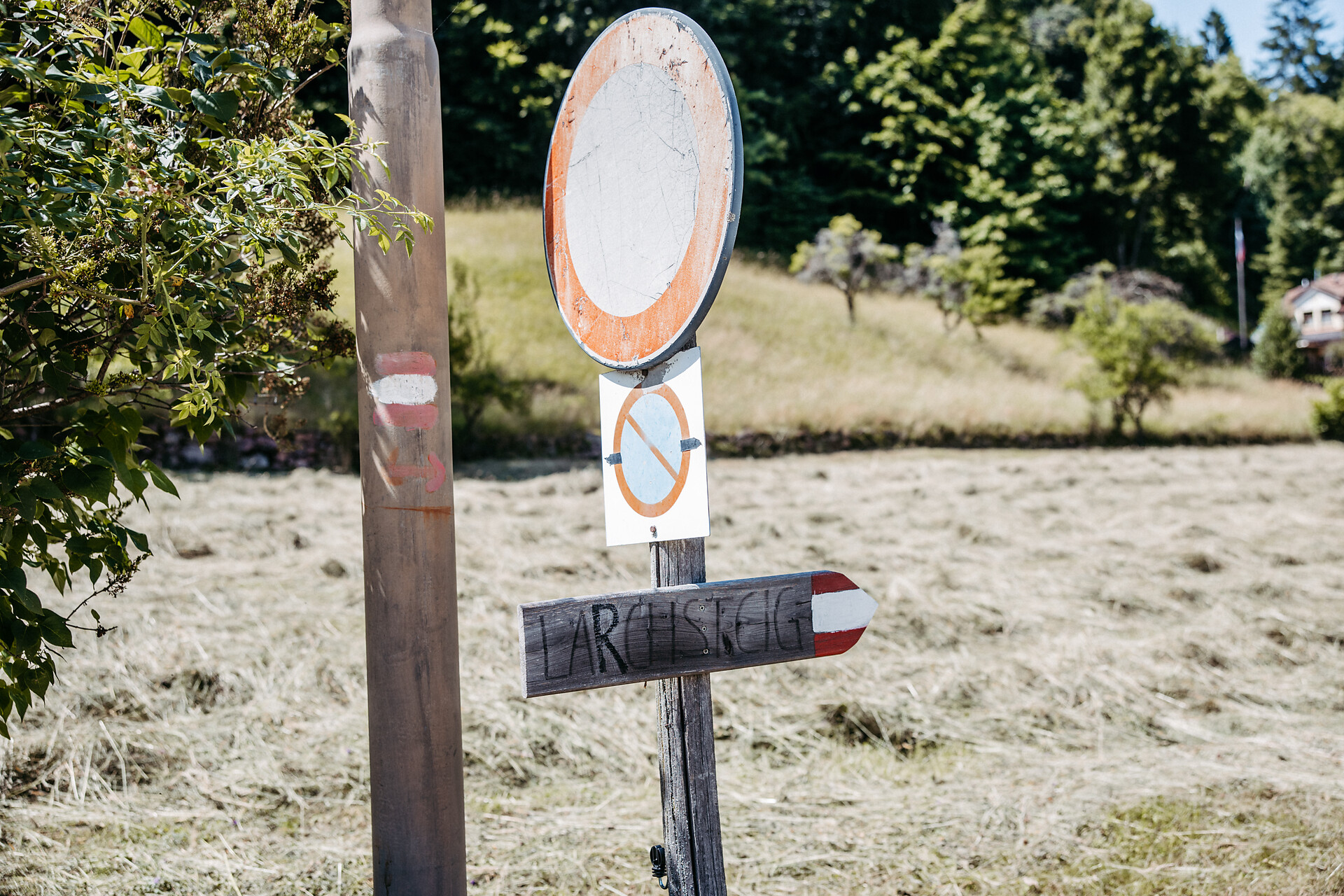 Circular hike: Andrian - Festenstein Castle - Gaid - variant path Larchsteigndrian - Alto Adige Wine Road - #11 - suedtirol.info