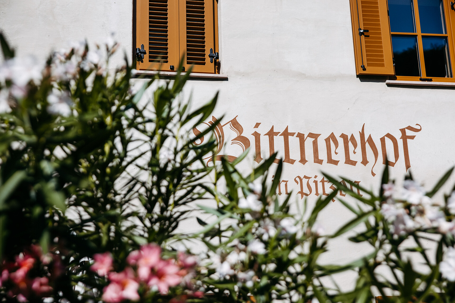 Circular hike: Andrian - Festenstein Castle - Gaid - variant path Larchsteigndrian - Alto Adige Wine Road - #13 - suedtirol.info