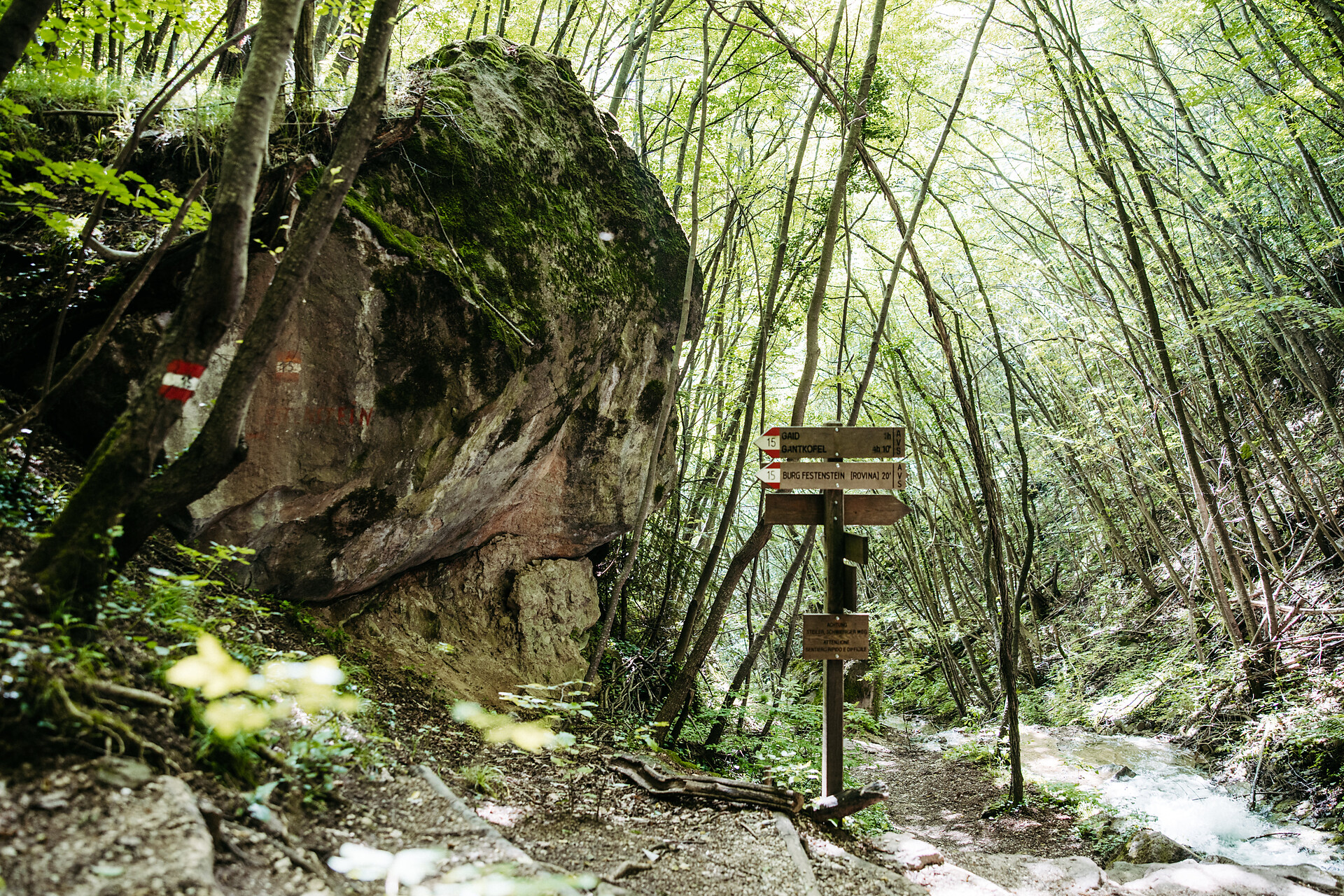Circular hike: Andrian - Festenstein Castle - Gaid - variant path Larchsteigndrian - Alto Adige Wine Road - #4 - suedtirol.info