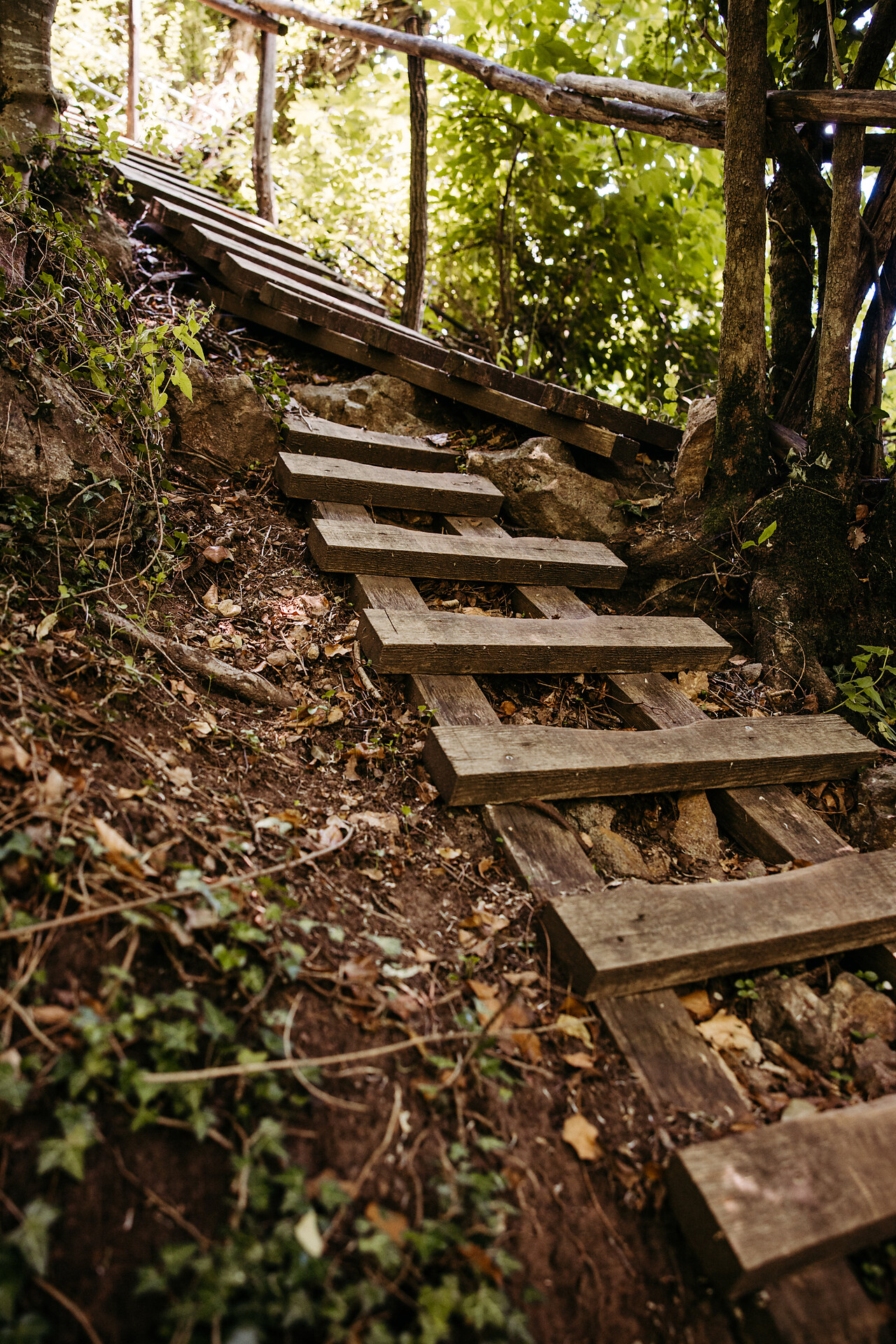 Circular hike: Andrian - Festenstein Castle - Gaid - variant path Larchsteigndrian - Alto Adige Wine Road - #9 - suedtirol.info