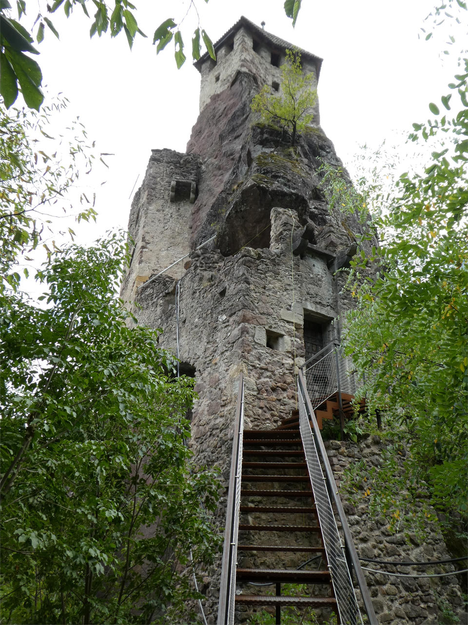 Slide 1