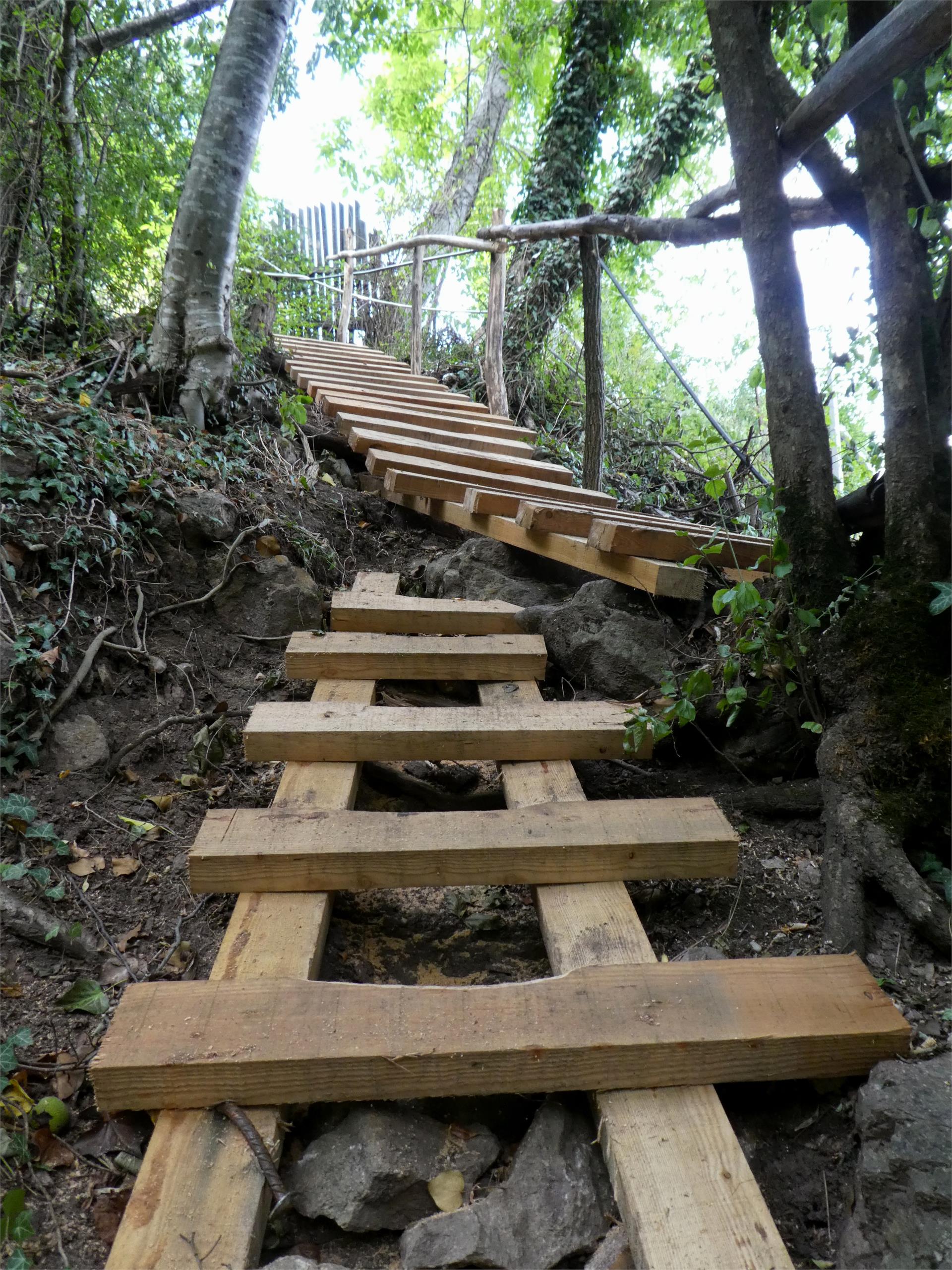 Circular hike: Andrian - Festenstein Castle - Gaid - variant path Larchsteigndrian Andrian/Andriano 10 suedtirol.info