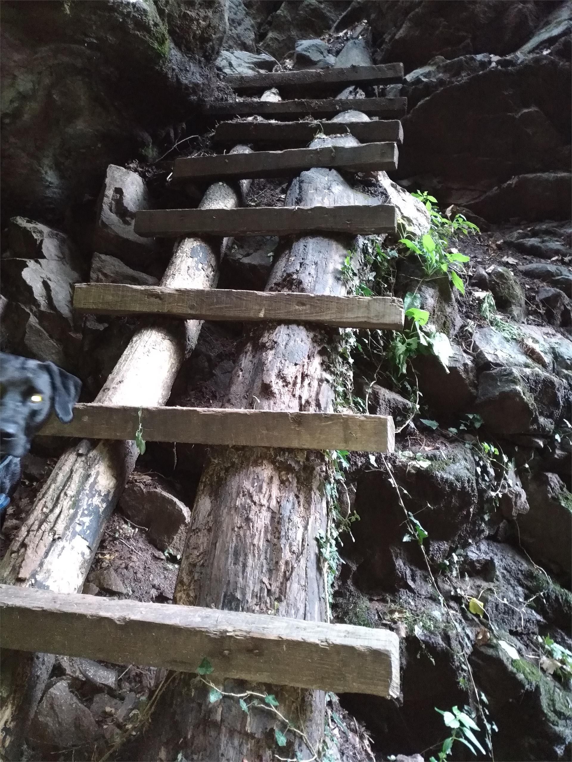 Circular hike: Andrian - Festenstein Castle - Gaid - variant path Larchsteigndrian Andrian/Andriano 5 suedtirol.info