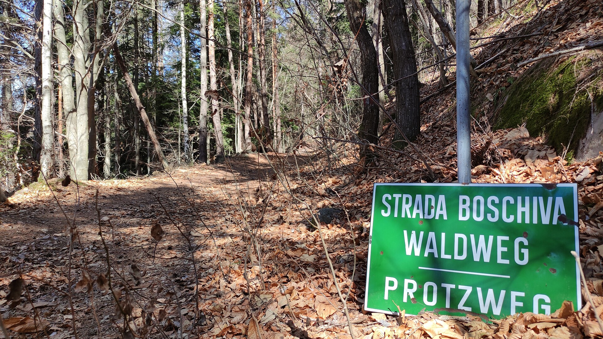 Waldweg Protzweg