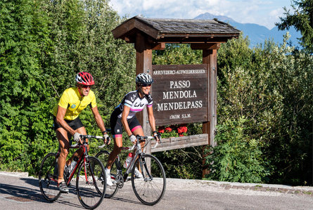 Kaltern Bike bicicletta da corsa Passo Mendola-Passo Palade Caldaro sulla Strada del Vino 1 suedtirol.info