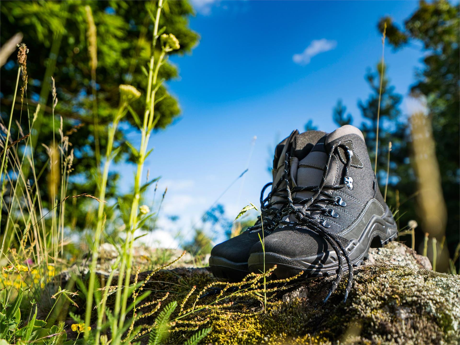 Rundwanderung über Tschengg und Larchweg Tisens 2 suedtirol.info