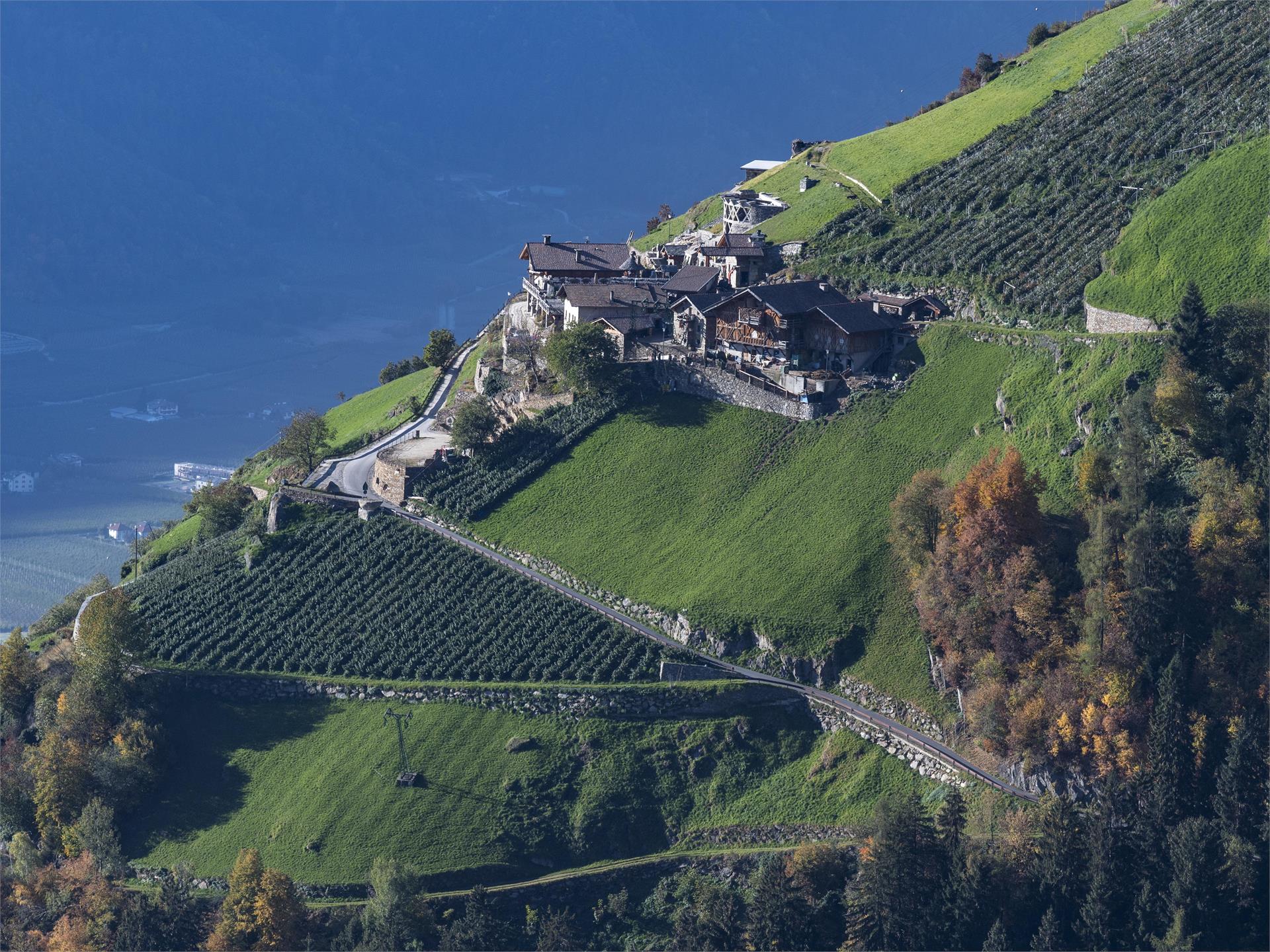Circular hiking tour Partschinser Sonnenberg Partschins/Parcines 3 suedtirol.info
