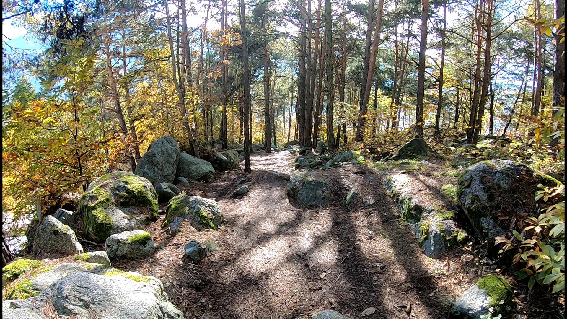 Circular hiking tour Partschinser Sonnenberg Partschins/Parcines 5 suedtirol.info