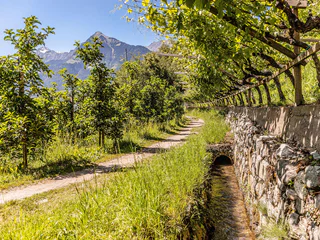 Rundwanderung auf dem Maiser Waalweg - Schenna - #3 - suedtirol.info