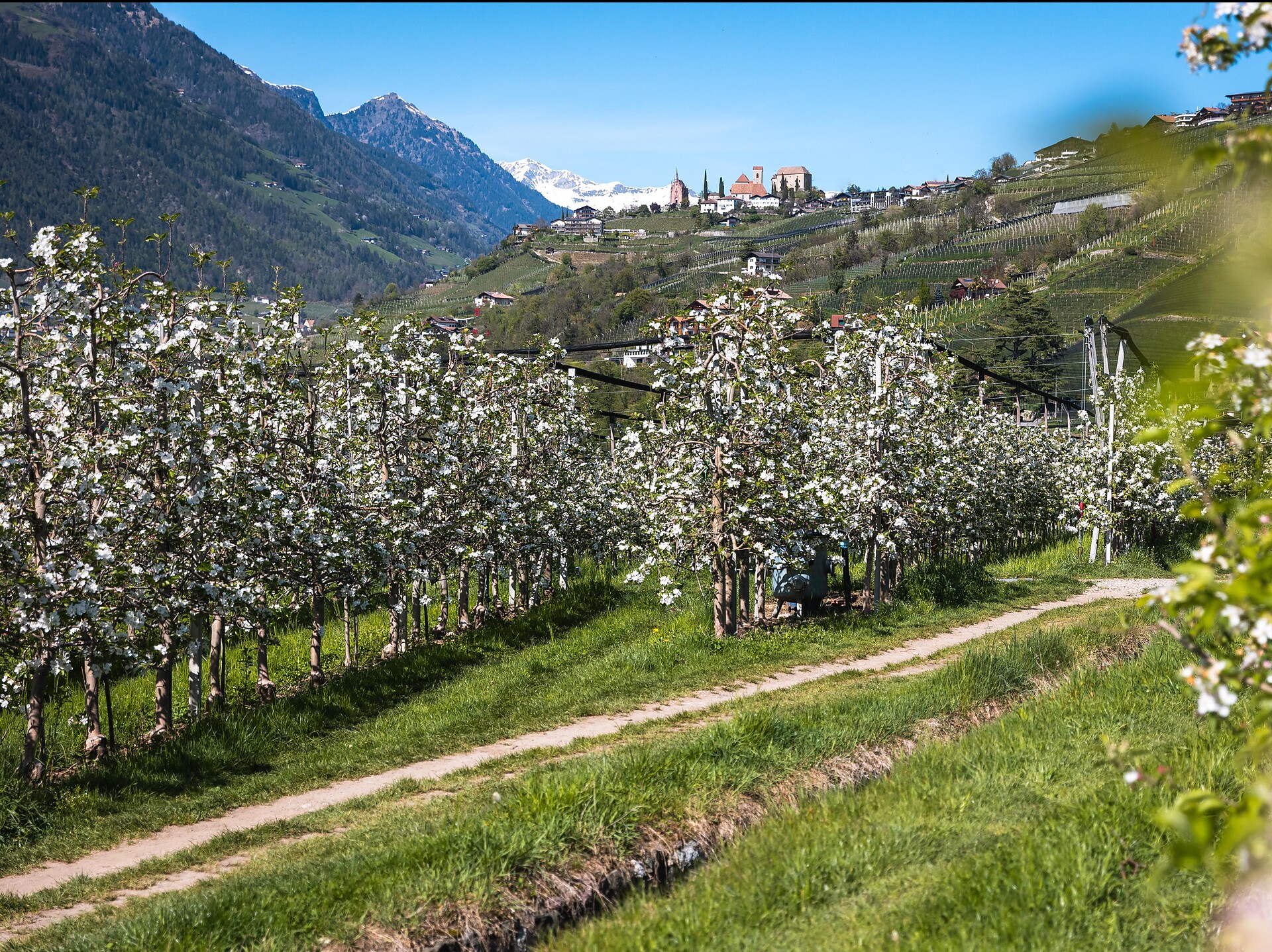 La roggia di Maia