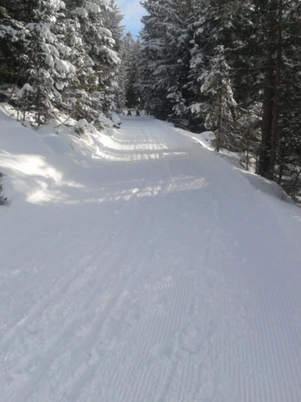 Toboggan run Rasciesa Urtijëi/Ortisei 3 suedtirol.info