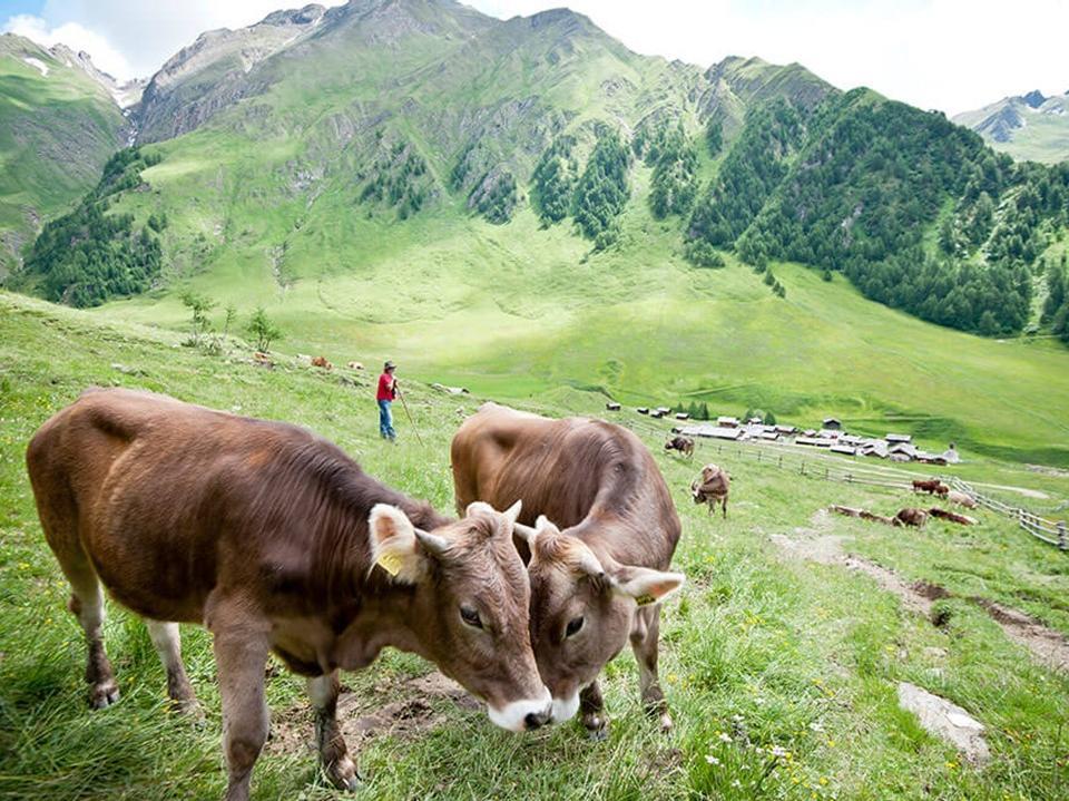 Rotensteiner Höhenweg Mühlbach 1 suedtirol.info
