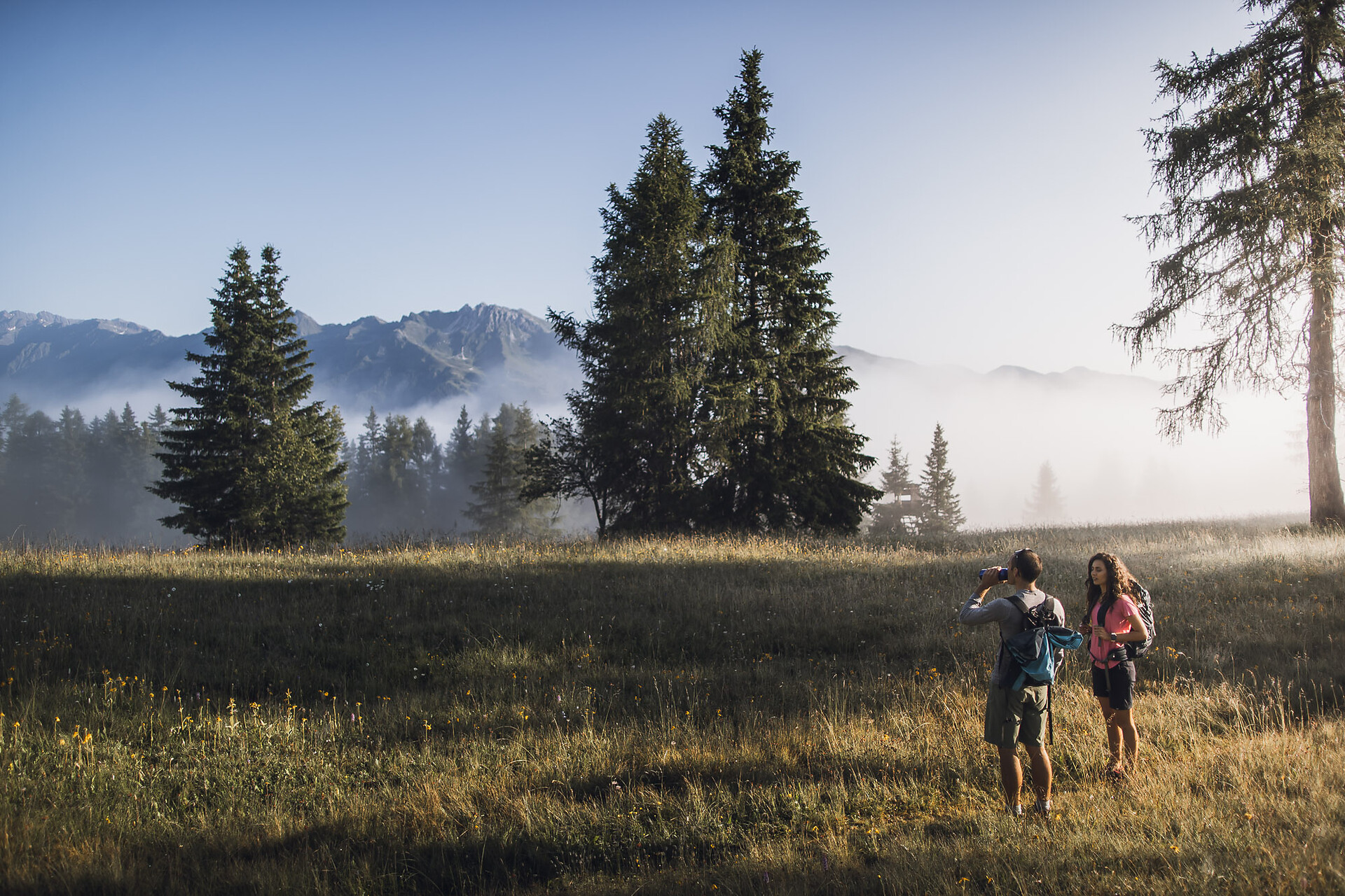 Rundwanderung Platschjoch - Sterzing und Umgebung - #4 - suedtirol.info