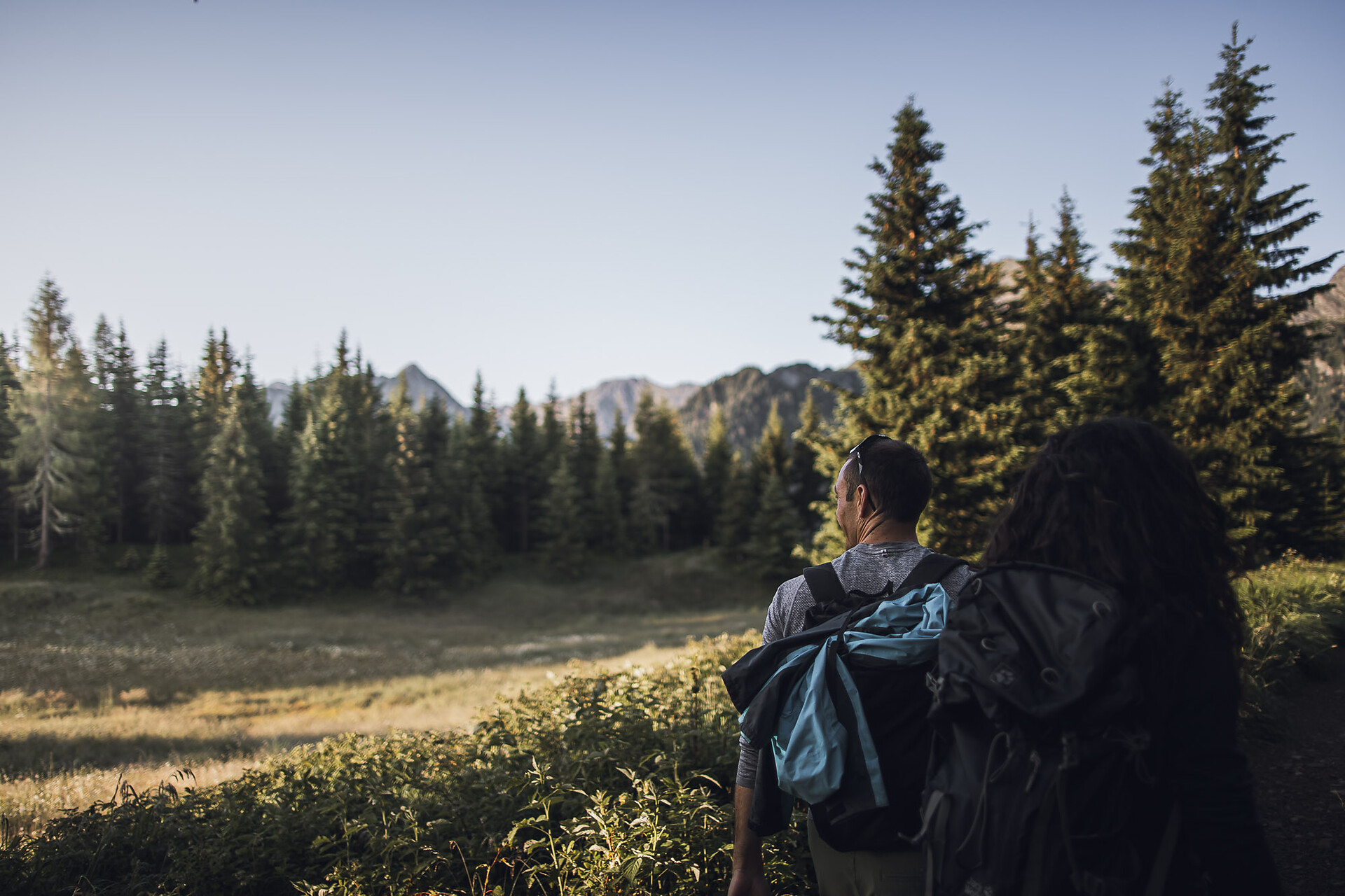 Rundwanderung Platschjoch - Sterzing und Umgebung - #1 - suedtirol.info