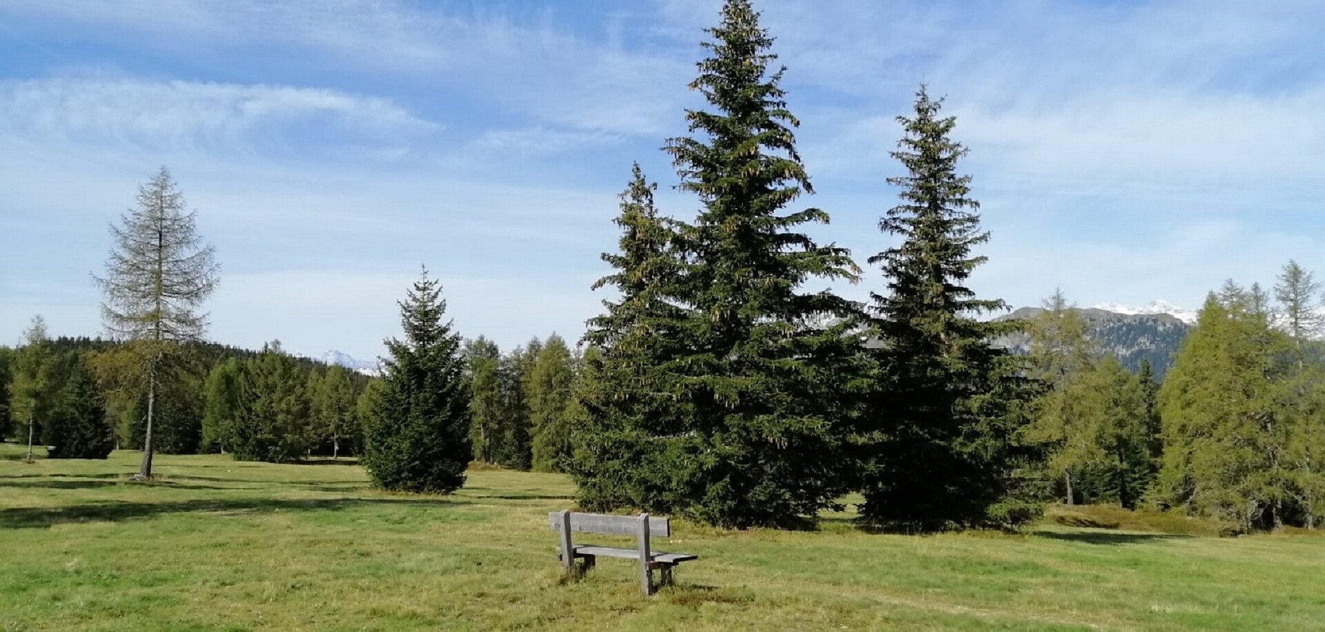 Monte Piatto