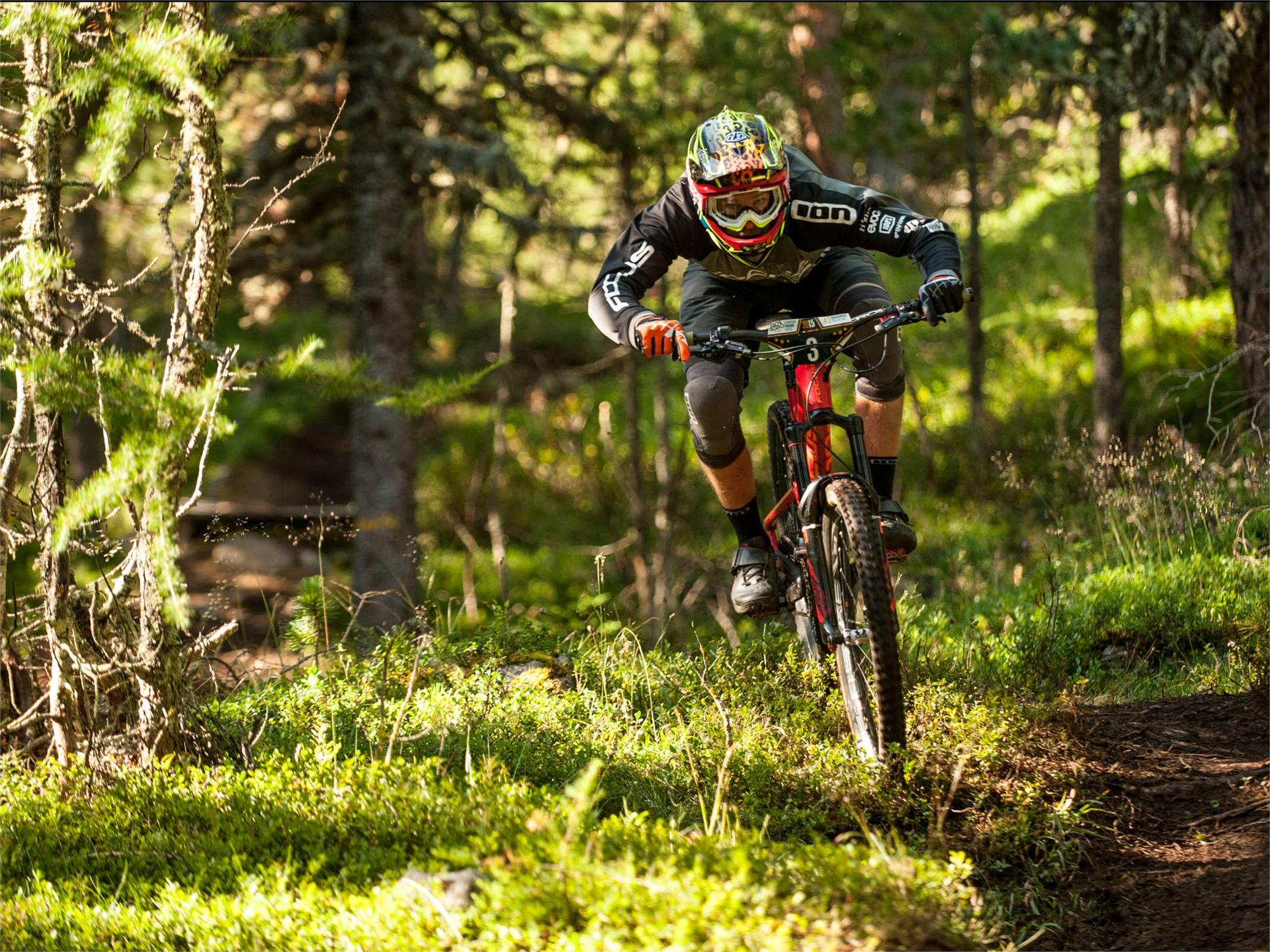 Riatschwegele Trail 2 Graun im Vinschgau 1 suedtirol.info