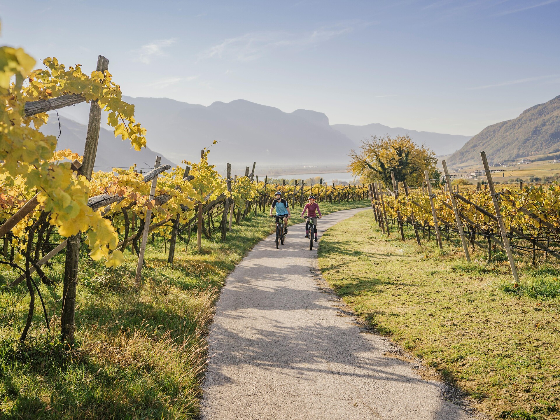 Tour bici da corsa Scena - Passo Mendola - Merano e dintorni - #1 - suedtirol.info