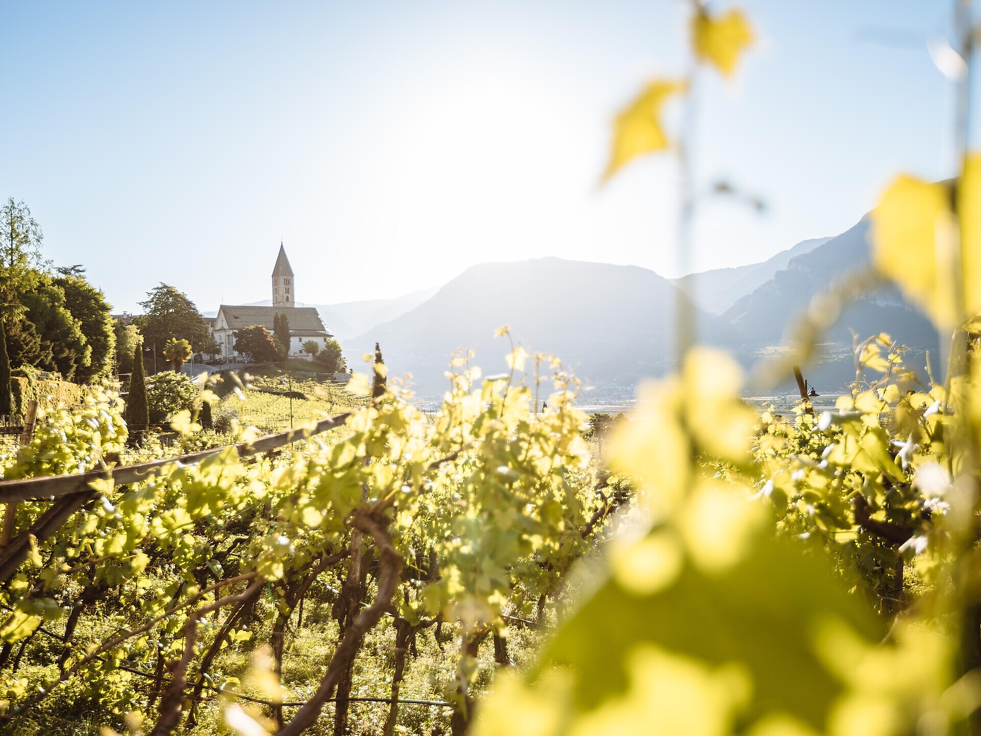 Tour bici da corsa Scena - Passo Mendola - Merano e dintorni - #3 - suedtirol.info