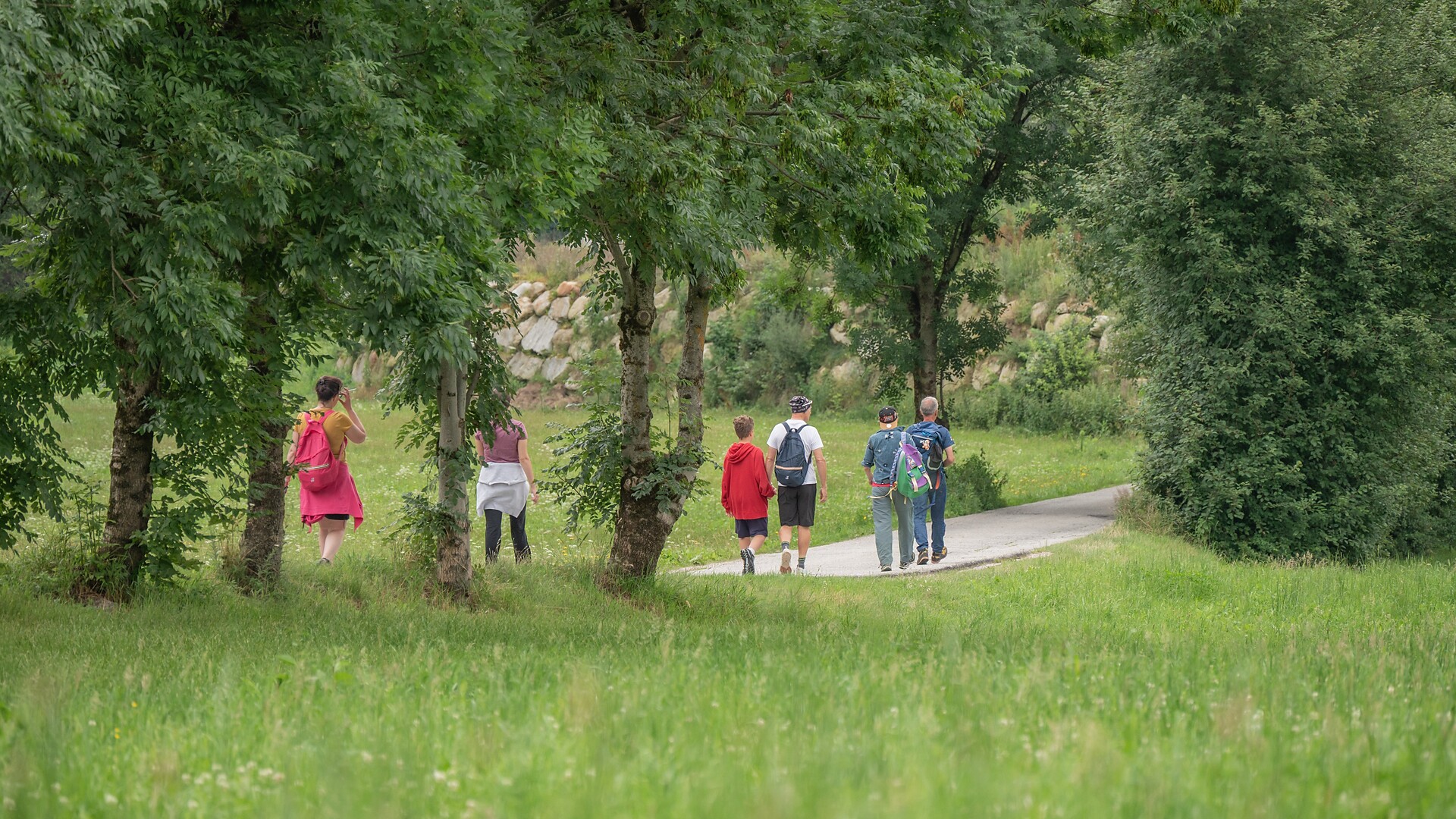 Circular hike Ehrenburg/Casteldarne – Runggen/Ronchi – Montal/Mantana - Dolomites Region Kronplatz/Plan de Corones - #2 - suedtirol.info