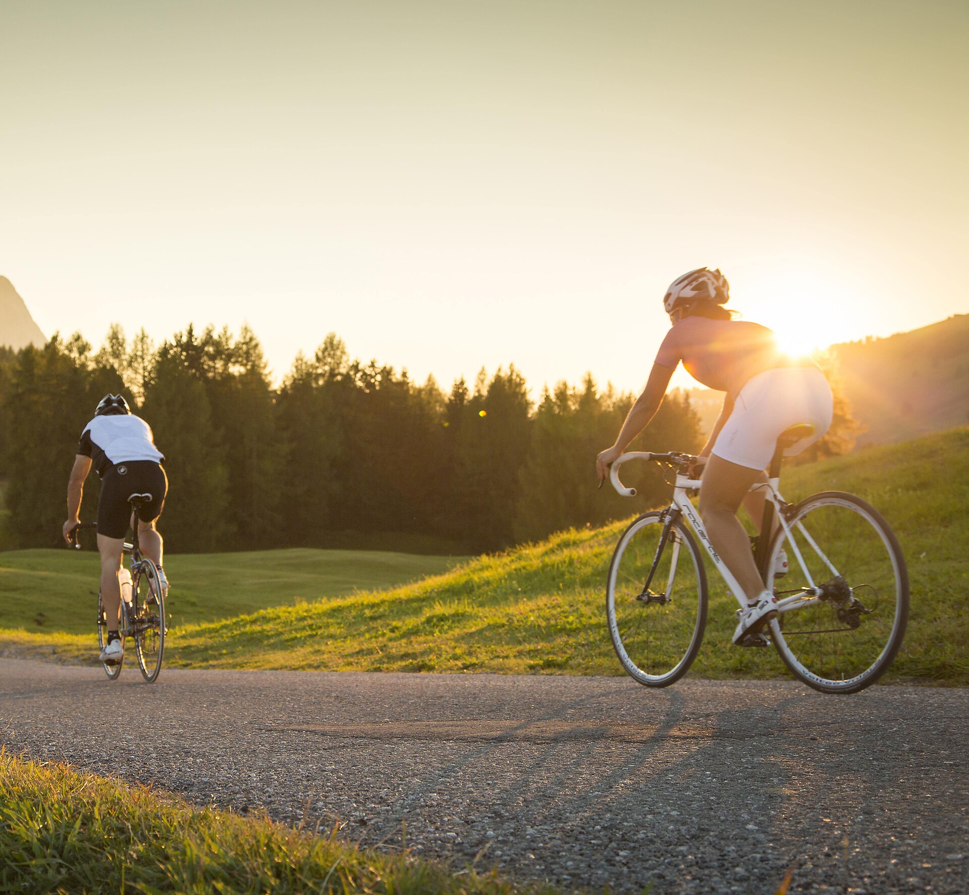 Road Bike Adventure to Lavazé Joch: Steep Passes and Breathtaking Views - Alto Adige Wine Road - #1 - suedtirol.info