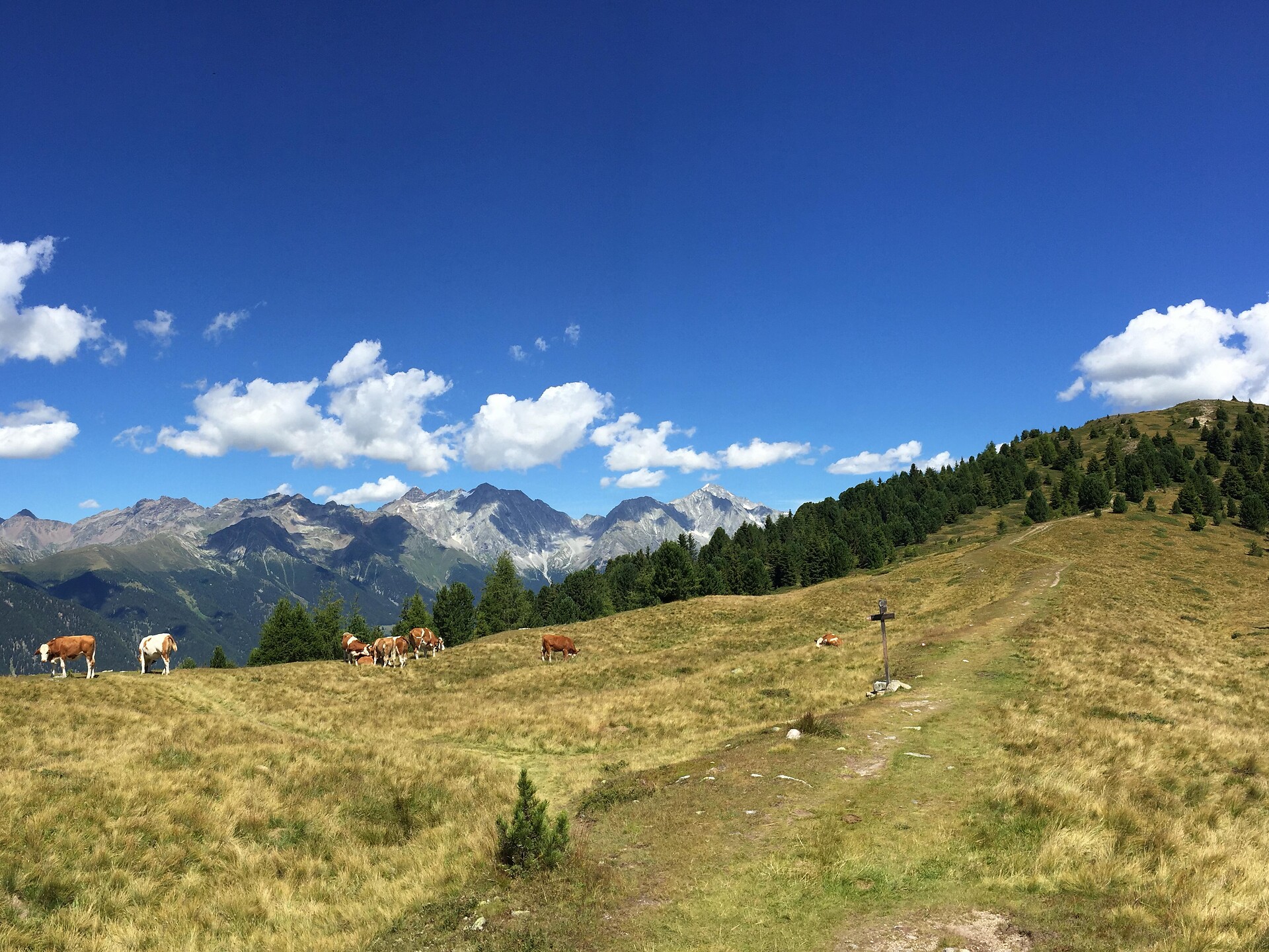 Rundwanderung: Lutterkopf - Durakopf -  - #6 - suedtirol.info
