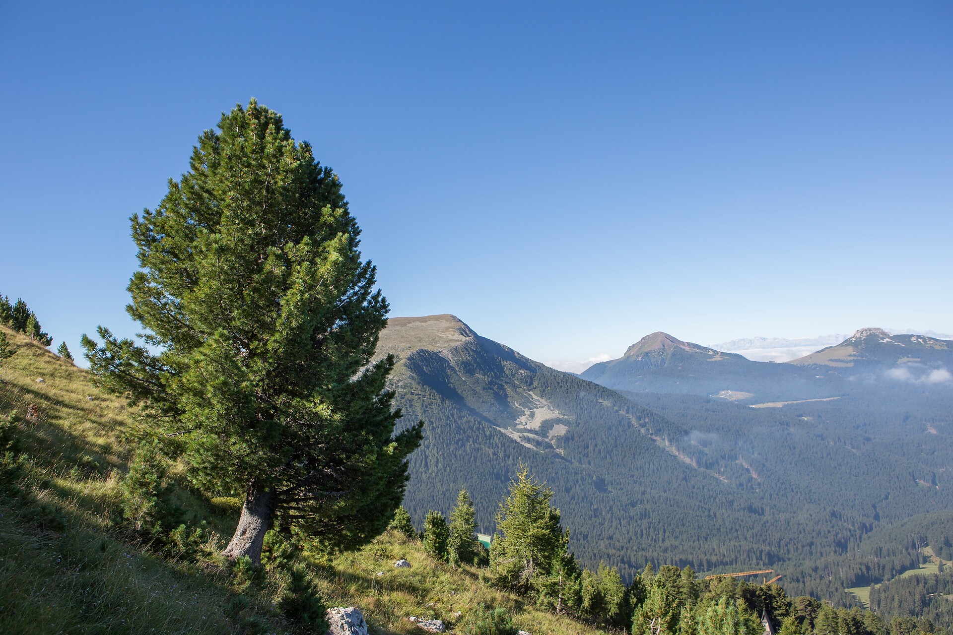 Hike Lavazè-Zanggen-Pampeago Pass -  - #3 - suedtirol.info