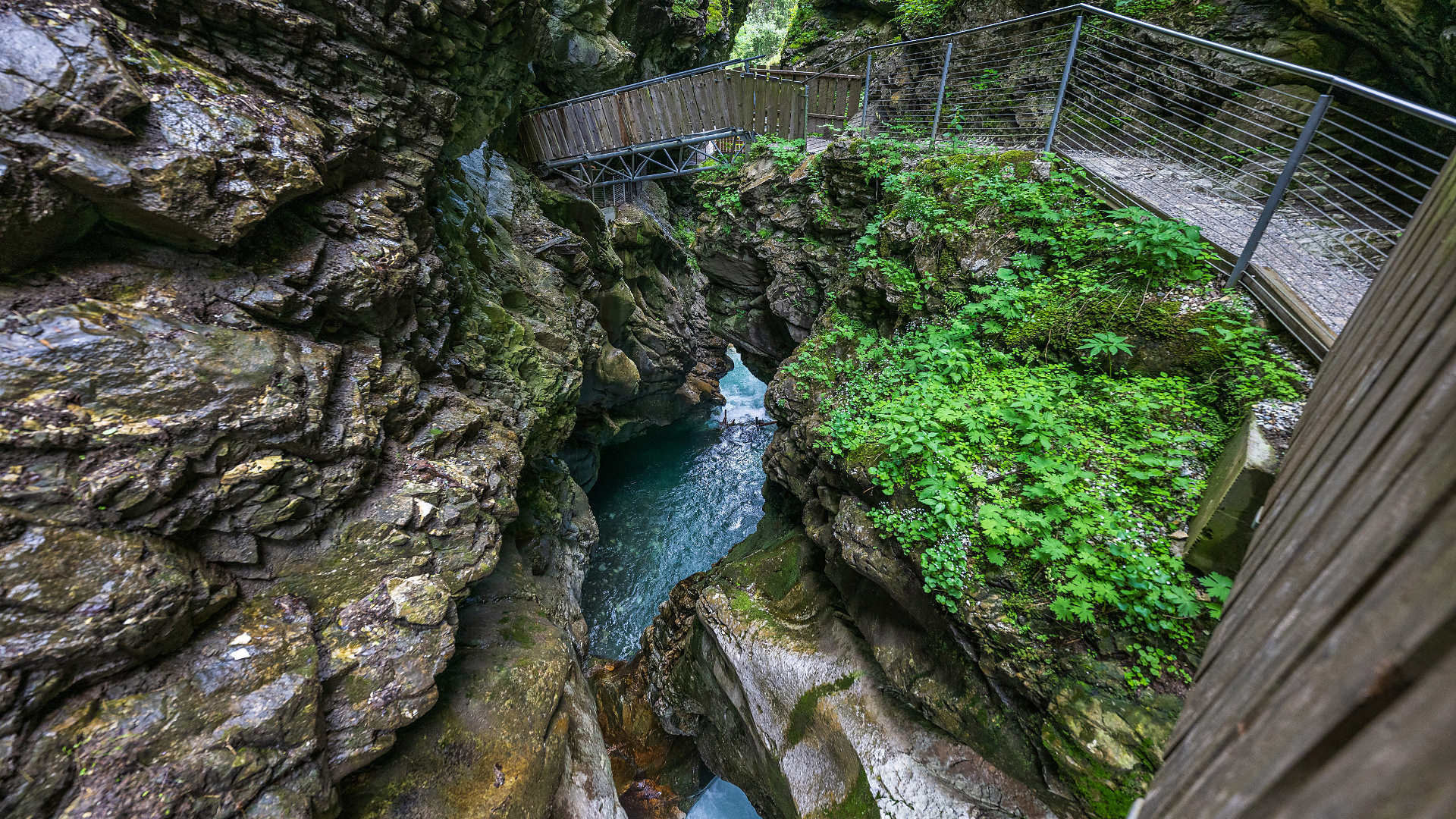 Gilfenklamm gorge circular hike via Reifenegg - Sterzing/Vipiteno and environs - #7 - suedtirol.info