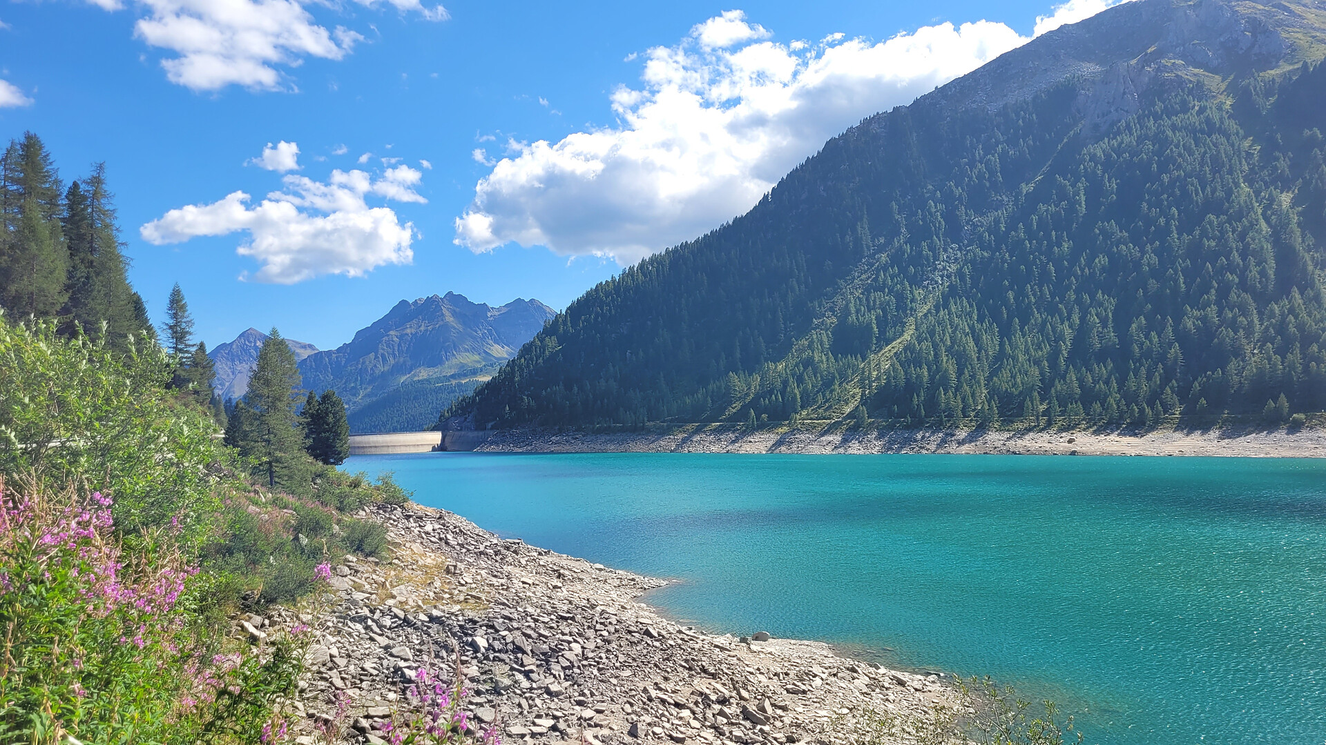 Round hike around the Neves reservoir - Ahrntal/Valle Aurina - #1 - suedtirol.info