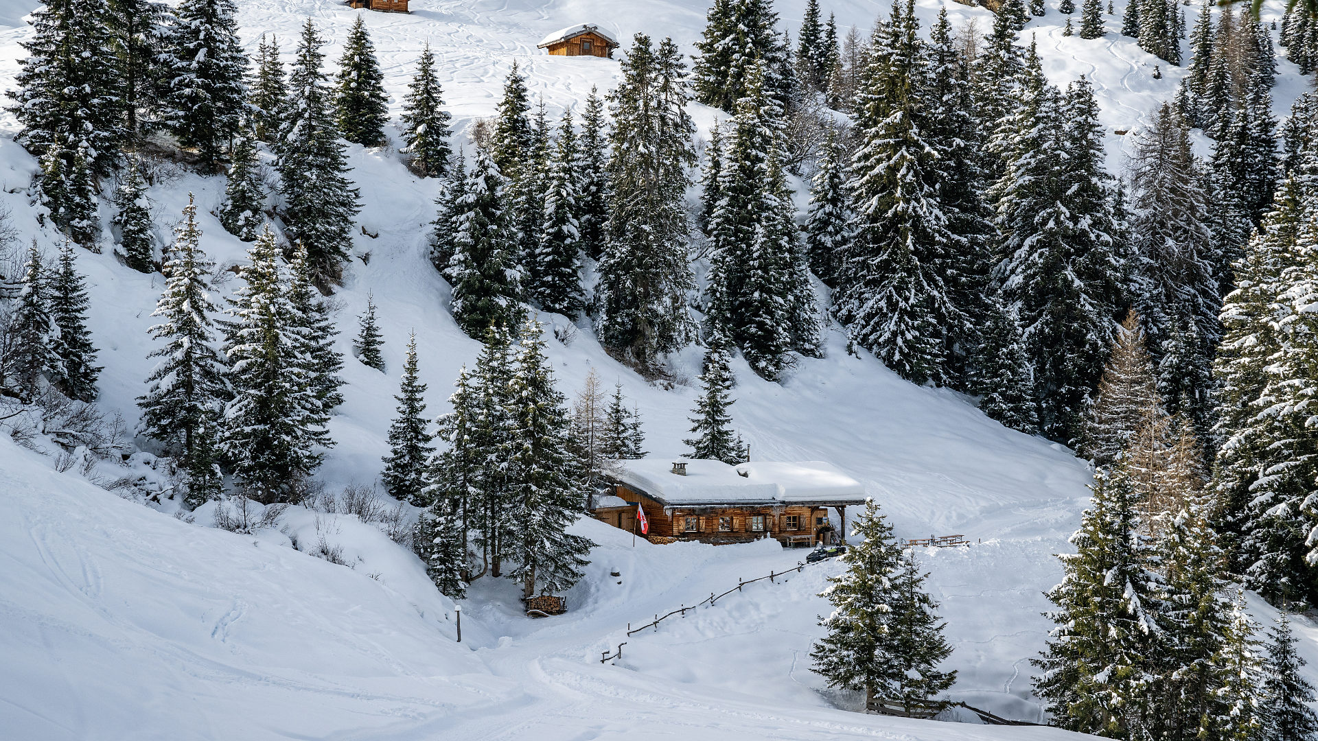 Rodelbahn Untere Gewingesalm - Sterzing und Umgebung - #1 - suedtirol.info