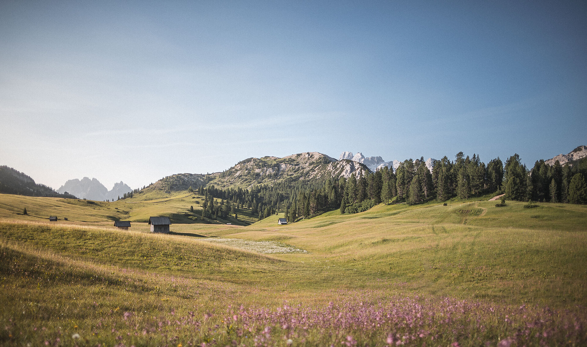 Sommer Wanderung - Hüttenrunde Plätzwiese - Dolomitenregion 3 Zinnen - #1 - suedtirol.info