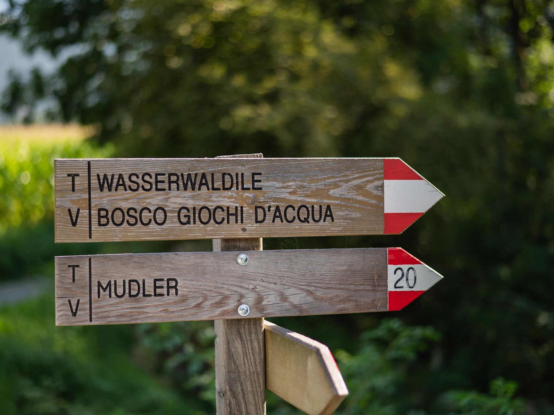 Spaziergang zum Wasserwaldile - Dolomitenregion Kronplatz - #3 - suedtirol.info