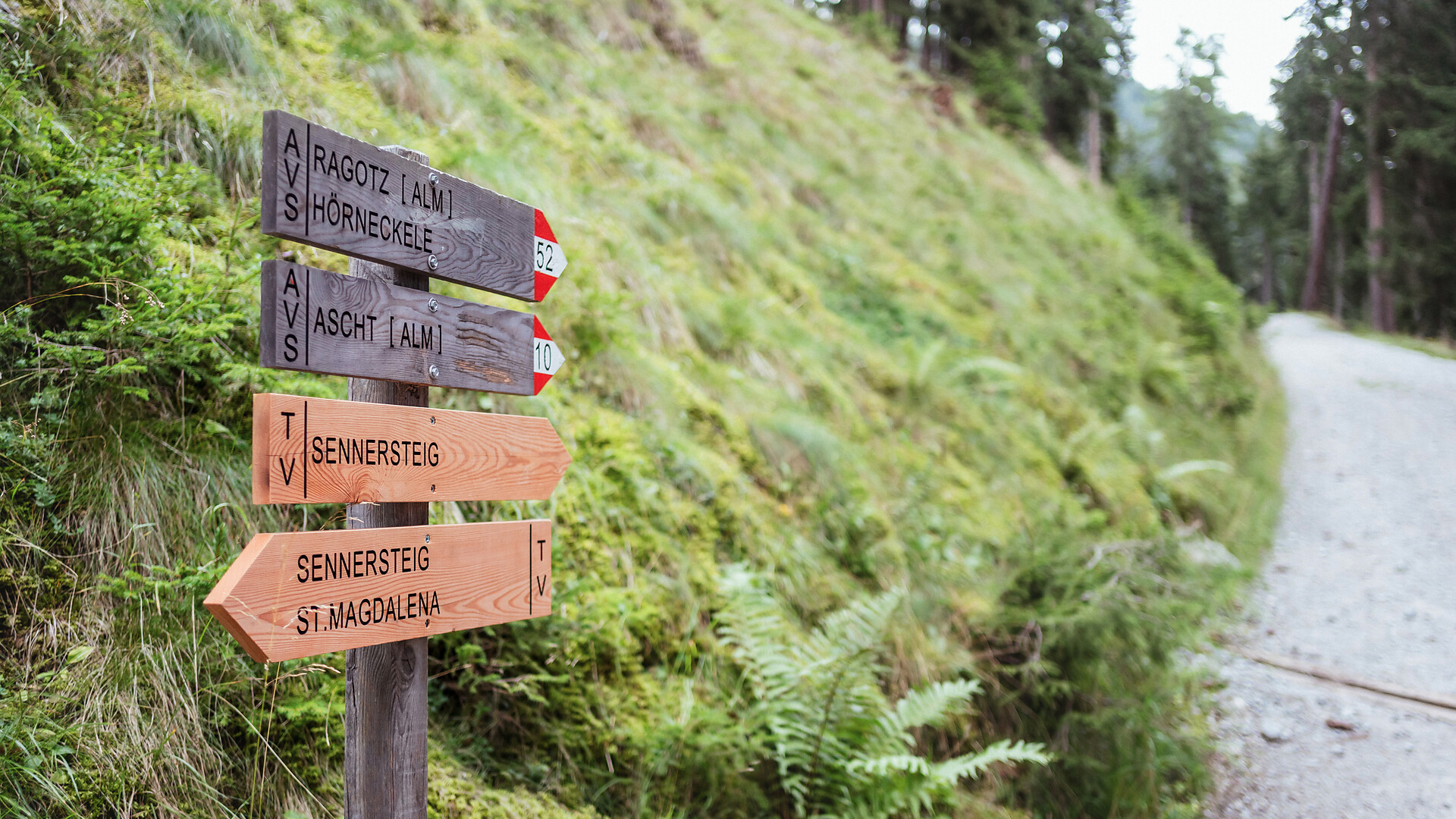 Der Sennersteig -  - #1 - suedtirol.info