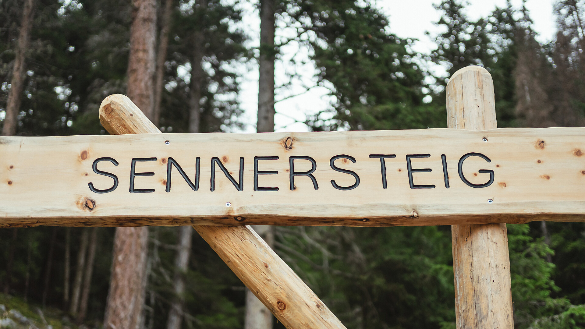 Der Sennersteig -  - #2 - suedtirol.info