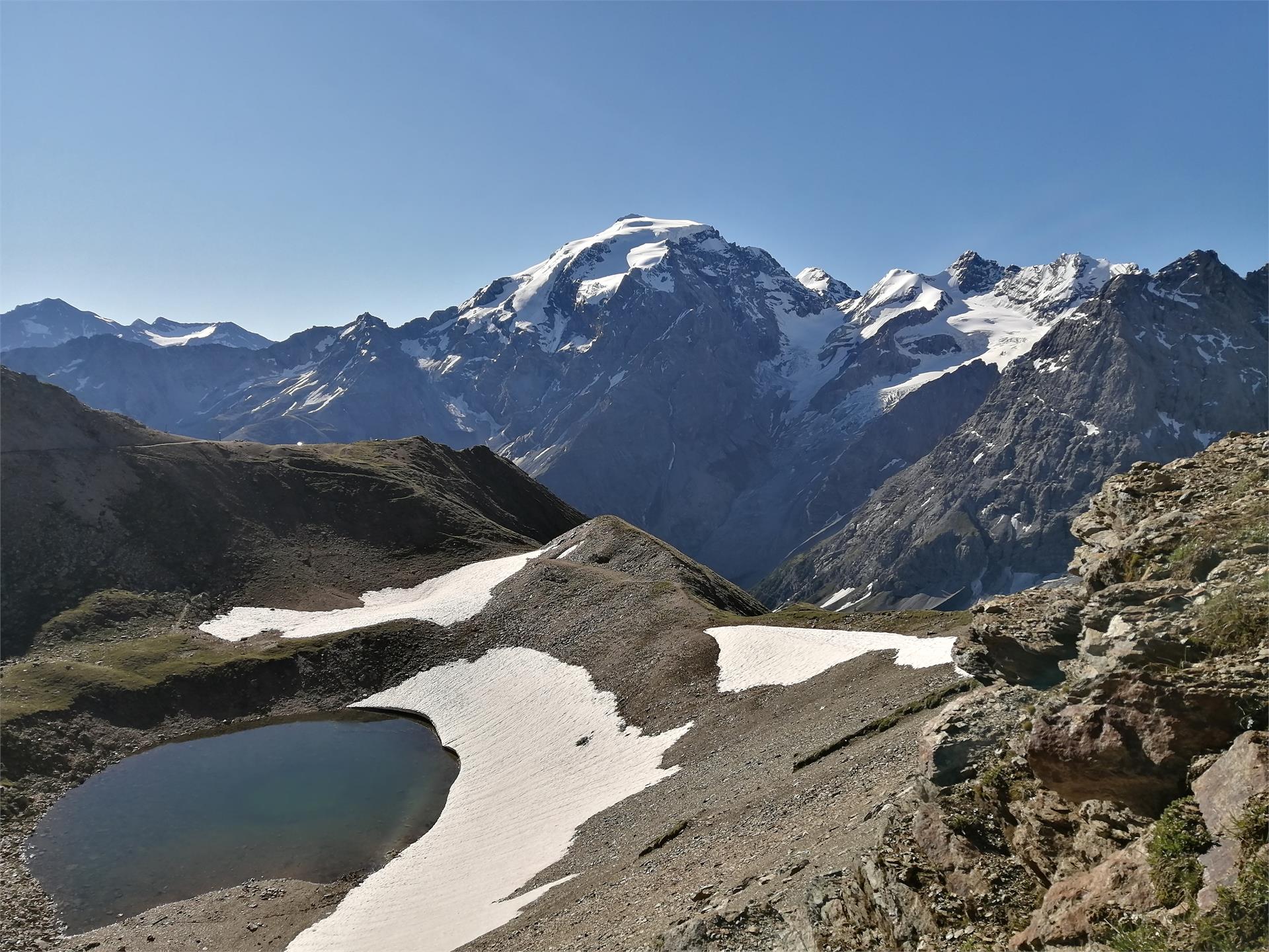 Stelvio Trail Stilfs/Stelvio 1 suedtirol.info