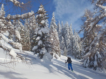 Ski touring upclimbing track Ladurns Brenner/Brennero 1 suedtirol.info