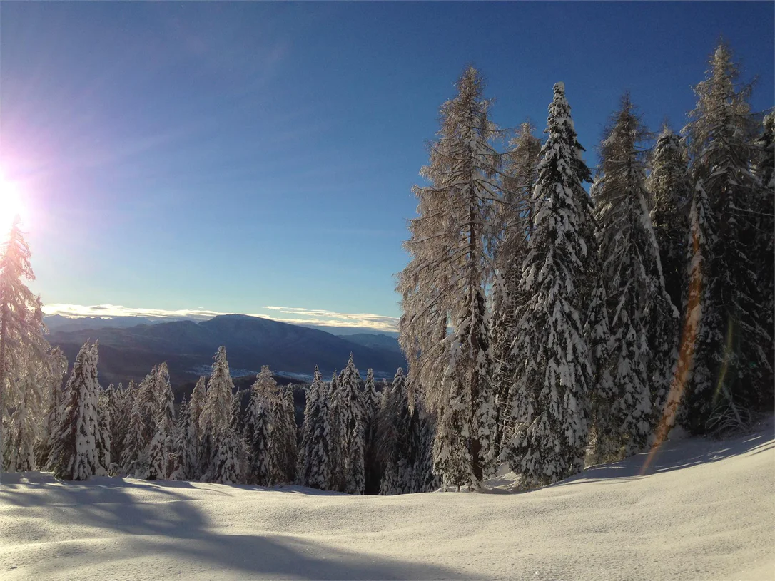 Schneeschuhwanderung auf die Laugenalm