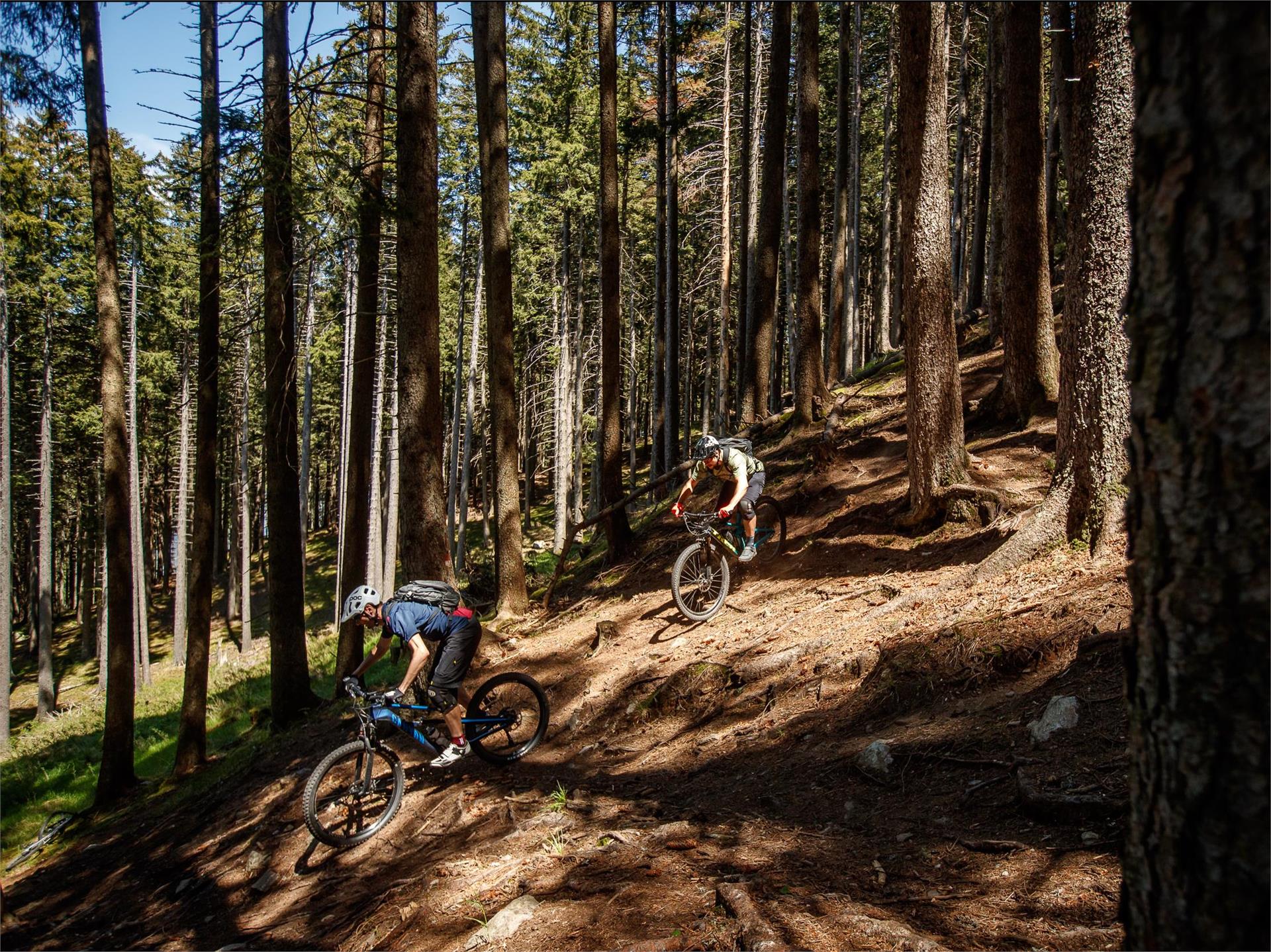 Stuanbruch-Trail Partschins/Parcines 8 suedtirol.info