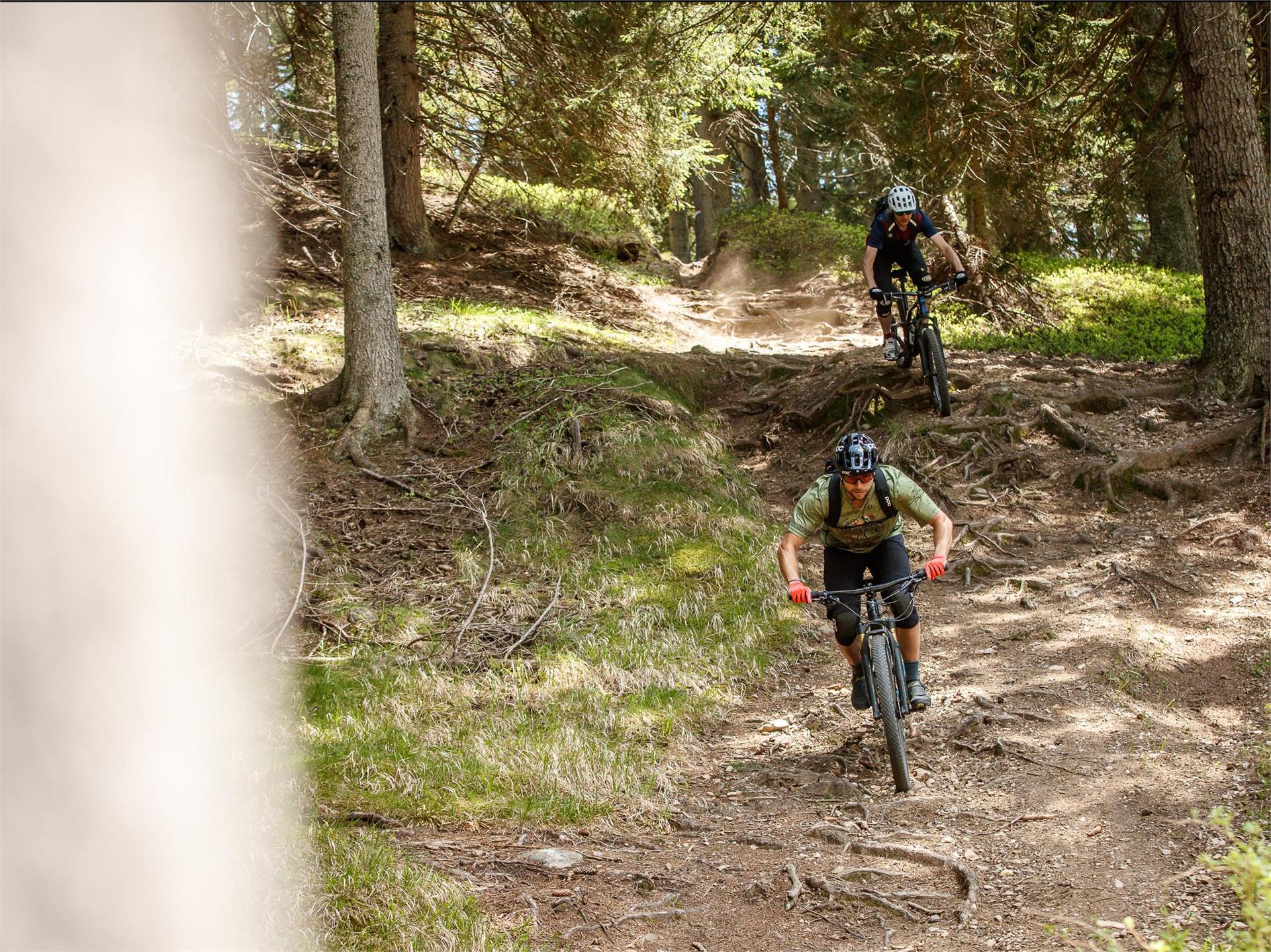 Stuanbruch-Trail Partschins/Parcines 6 suedtirol.info