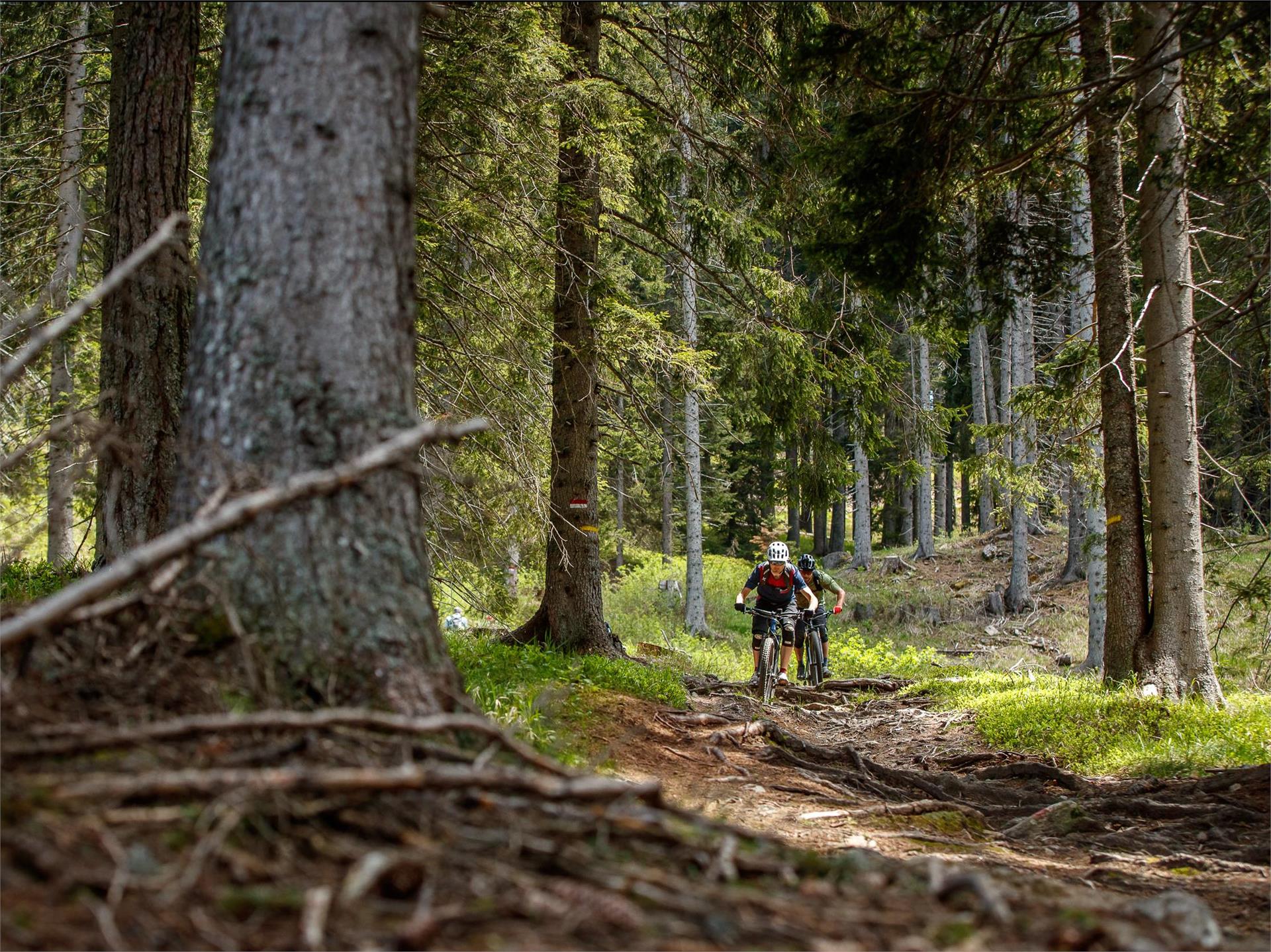Stuanbruch-Trail Partschins/Parcines 7 suedtirol.info